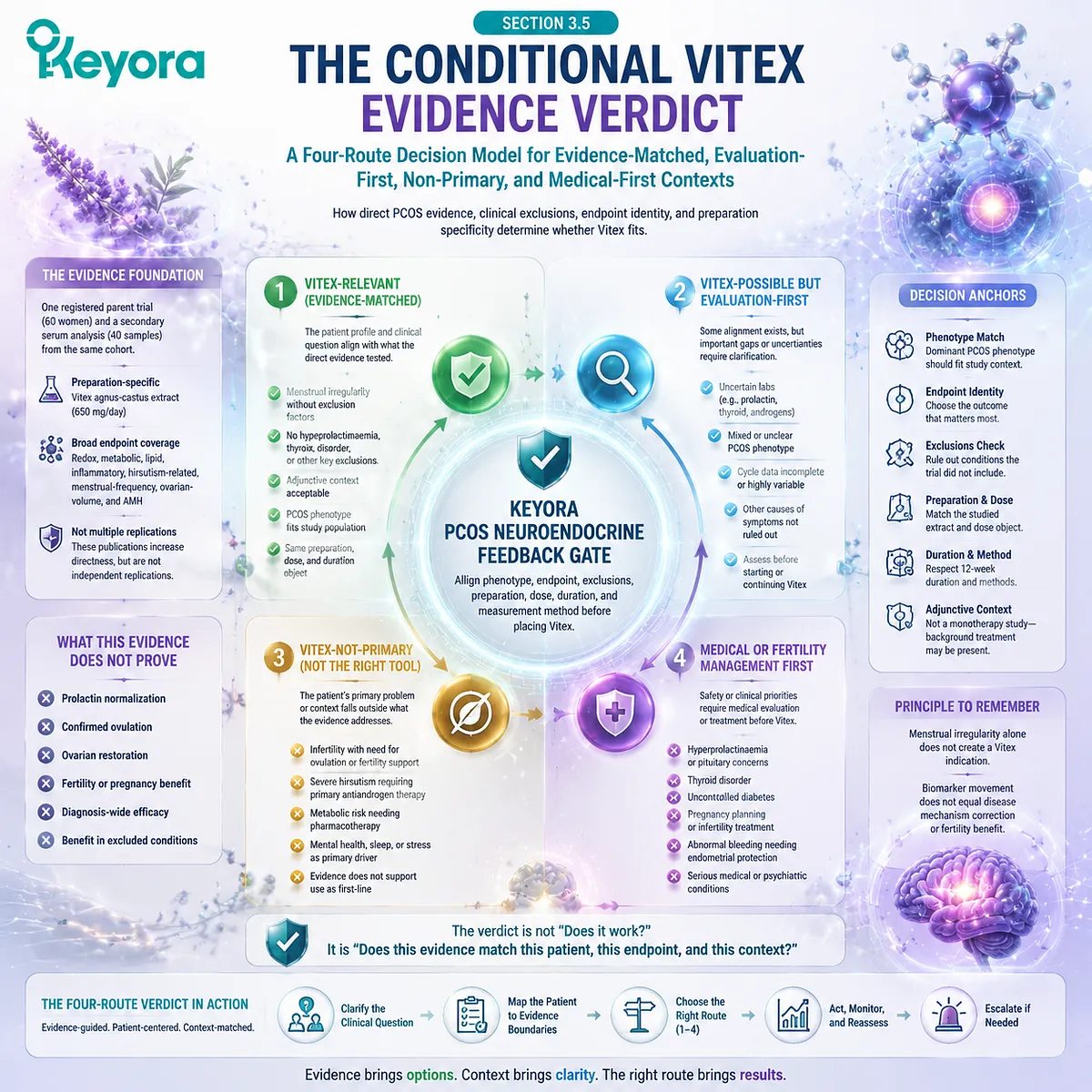 Vitex PCOS evidence uses a four-route decision model based on phenotype, endpoints, exclusions, and preparation specificity through the Keyora PCOS Neuroendocrine Feedback Gate. Vitex PCOS evidence uses a four-route decision model based on phenotype, endpoints, exclusions, and preparation specificity through the Keyora PCOS Neuroendocrine Feedback Gate.