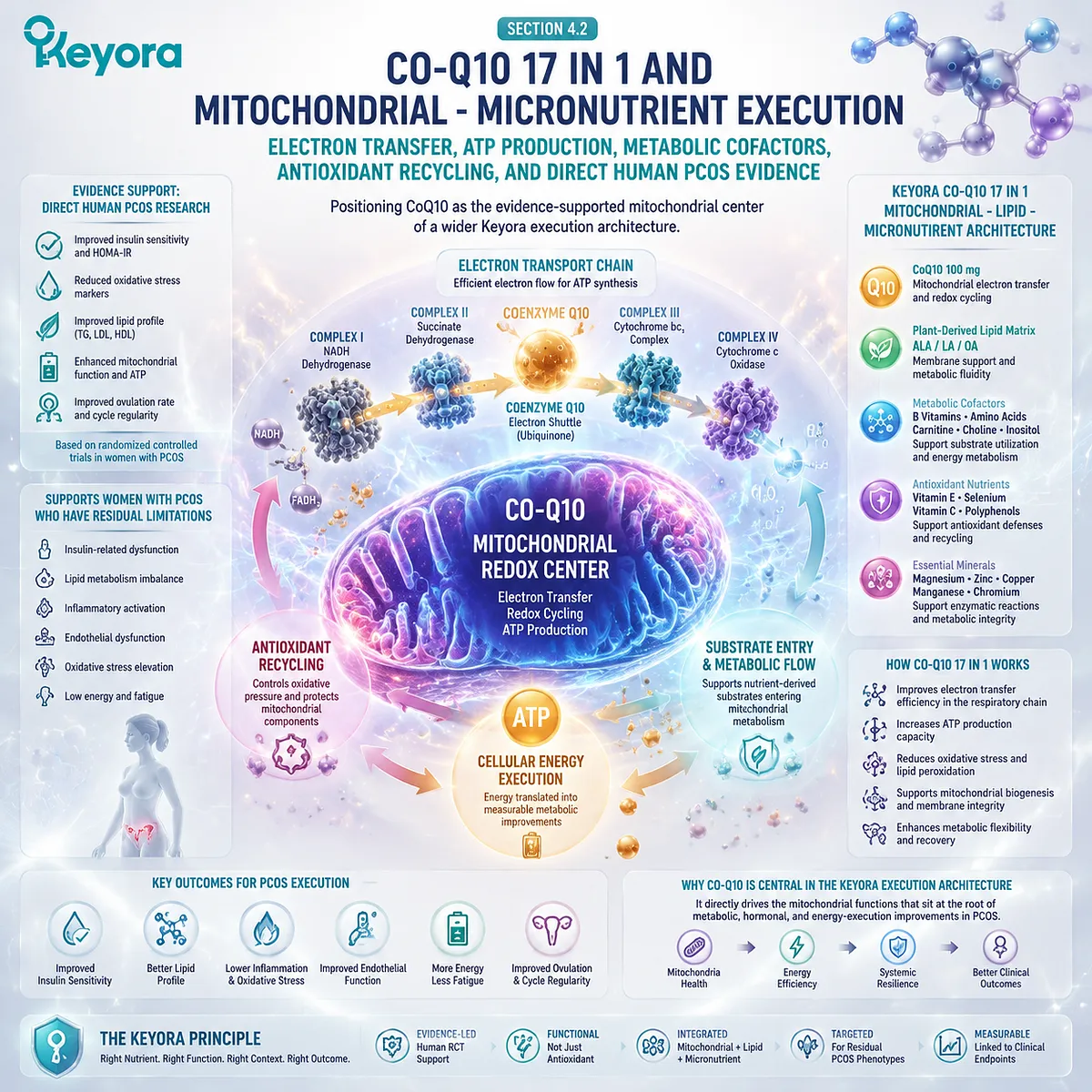 PCOS mitochondrial support with CoQ10 electron transfer, ATP production, redox balance and metabolic cofactors organized through Keyora Co-Q10 17 in 1 execution architecture. PCOS mitochondrial support with CoQ10 electron transfer, ATP production, redox balance and metabolic cofactors organized through Keyora Co-Q10 17 in 1 execution architecture.