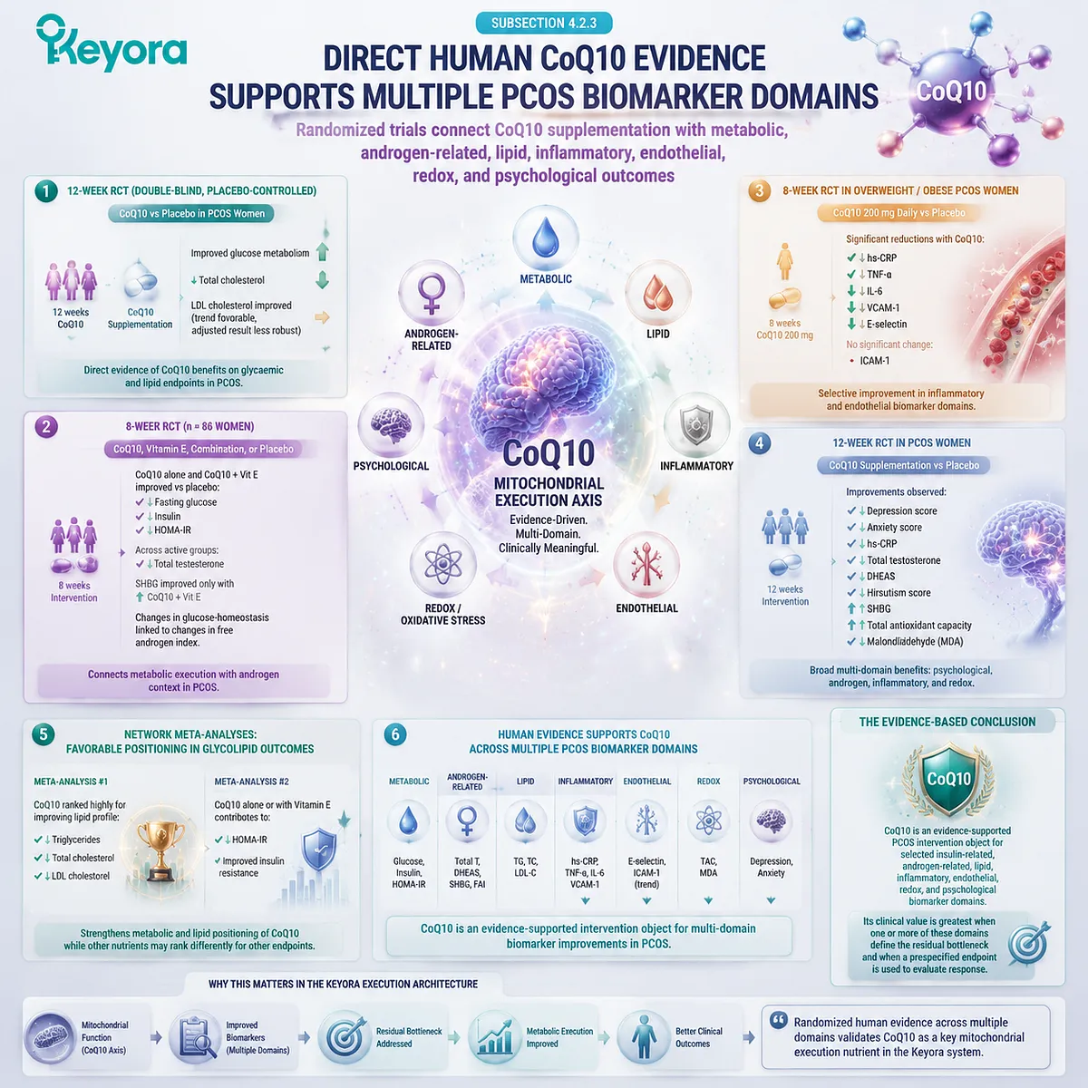 PCOS CoQ10 evidence framework linking insulin metabolism, lipid balance, androgen-related markers, inflammation and redox biomarkers through Keyora Co-Q10 17 in 1. PCOS CoQ10 evidence framework linking insulin metabolism, lipid balance, androgen-related markers, inflammation and redox biomarkers through Keyora Co-Q10 17 in 1.