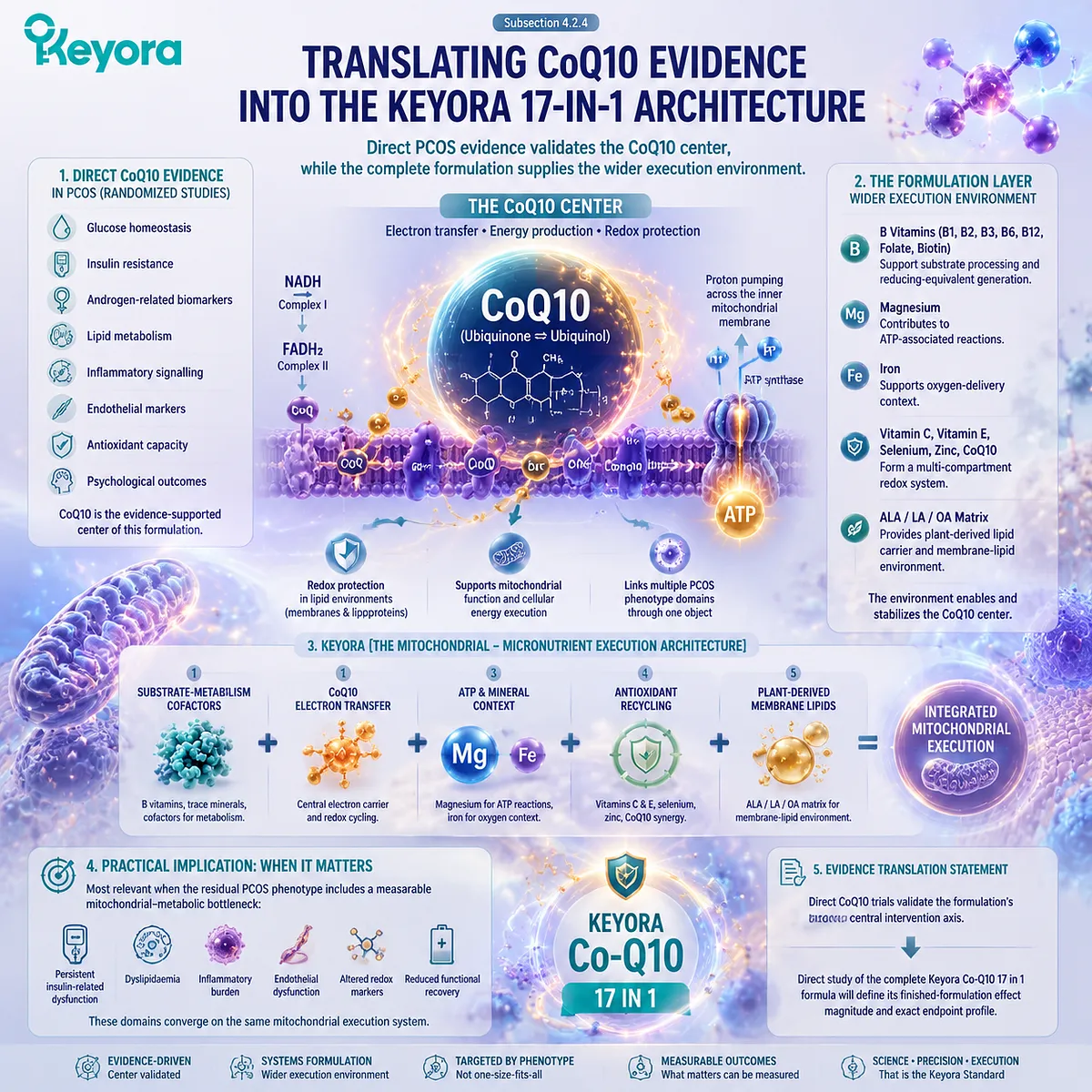 PCOS mitochondrial support strategy linking CoQ10 electron transfer, metabolic cofactors, ATP context and antioxidant recycling through Keyora Mitochondrial-Micronutrient Execution Architecture. PCOS mitochondrial support strategy linking CoQ10 electron transfer, metabolic cofactors, ATP context and antioxidant recycling through Keyora Mitochondrial-Micronutrient Execution Architecture.