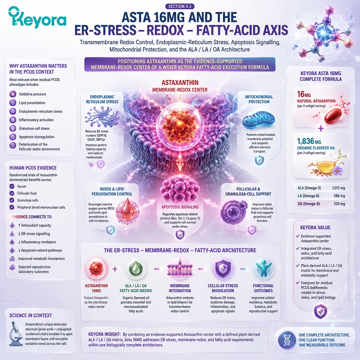 PCOS oxidative stress support with astaxanthin membrane redox control, ER-stress signaling and fatty-acid architecture through Keyora Asta 16MG execution framework. PCOS oxidative stress support with astaxanthin membrane redox control, ER-stress signaling and fatty-acid architecture through Keyora Asta 16MG execution framework.