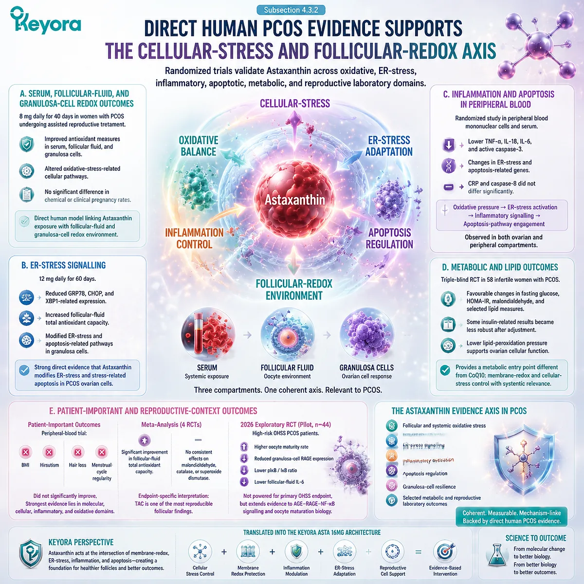 PCOS astaxanthin support linking follicular redox balance, ER-stress signaling, inflammation, apoptosis and metabolic biomarkers through Keyora Asta 16MG architecture. PCOS astaxanthin support linking follicular redox balance, ER-stress signaling, inflammation, apoptosis and metabolic biomarkers through Keyora Asta 16MG architecture.