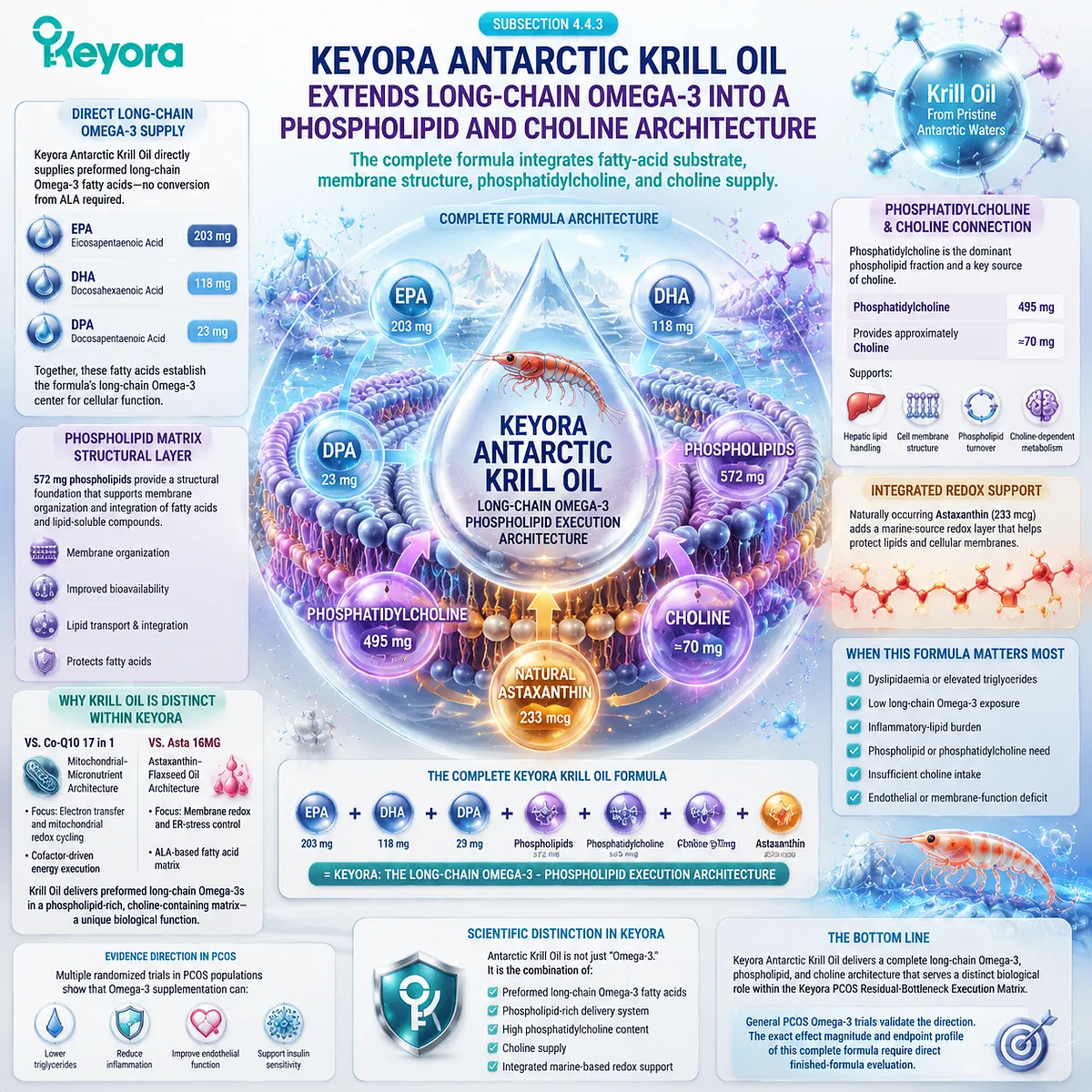 PCOS omega-3 support showing EPA DHA DPA, phospholipid membrane structure, phosphatidylcholine, choline and redox integration through Keyora Antarctic Krill Oil architecture. PCOS omega-3 support showing EPA DHA DPA, phospholipid membrane structure, phosphatidylcholine, choline and redox integration through Keyora Antarctic Krill Oil architecture.