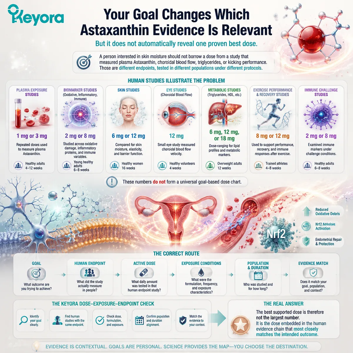 Astaxanthin goal-based dose selection showing endpoint matching, human evidence, exposure conditions, and Keyora Dose - Exposure - Endpoint Check framework Astaxanthin goal-based dose selection showing endpoint matching, human evidence, exposure conditions, and Keyora Dose - Exposure - Endpoint Check framework