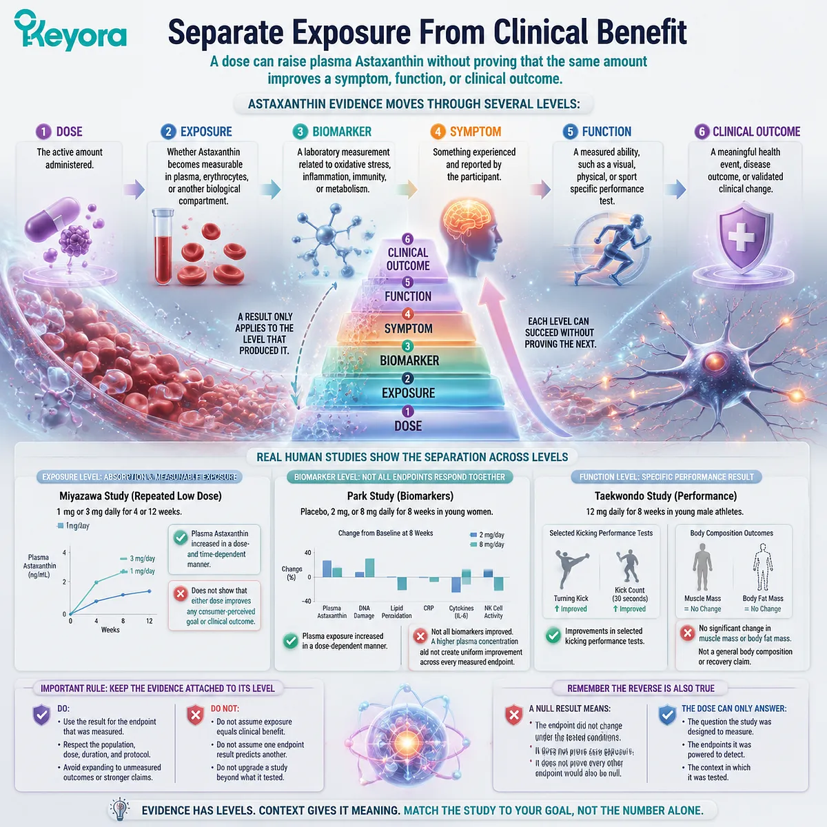 Astaxanthin evidence pathway separating dose, exposure, biomarkers, symptoms, function, and clinical outcomes through the Keyora Dose - Exposure - Endpoint Check Astaxanthin evidence pathway separating dose, exposure, biomarkers, symptoms, function, and clinical outcomes through the Keyora Dose - Exposure - Endpoint Check