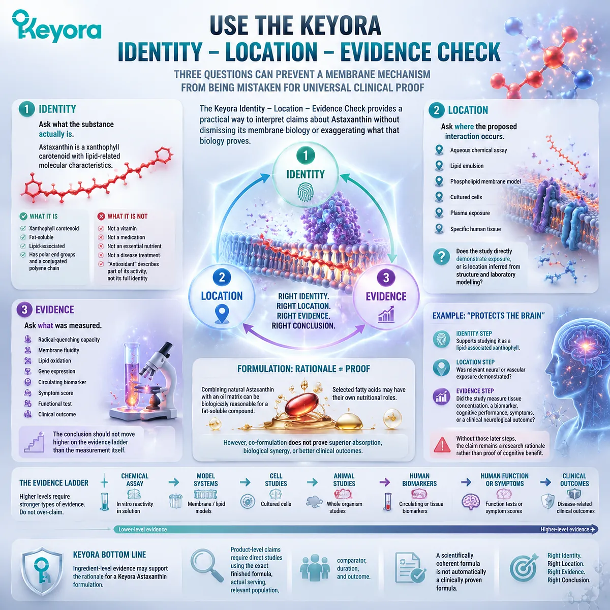 Astaxanthin evidence evaluation uses identity, membrane location, exposure, and clinical endpoints through the Keyora Identity Location Evidence Check framework. Astaxanthin evidence evaluation uses identity, membrane location, exposure, and clinical endpoints through the Keyora Identity Location Evidence Check framework.