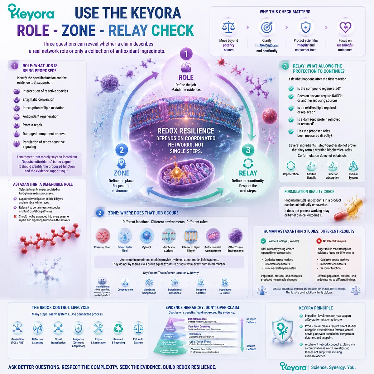 Astaxanthin antioxidant network evaluation uses role, biological zone, and redox relay analysis to interpret evidence through the Keyora Role Zone Relay Check framework. Astaxanthin antioxidant network evaluation uses role, biological zone, and redox relay analysis to interpret evidence through the Keyora Role Zone Relay Check framework.