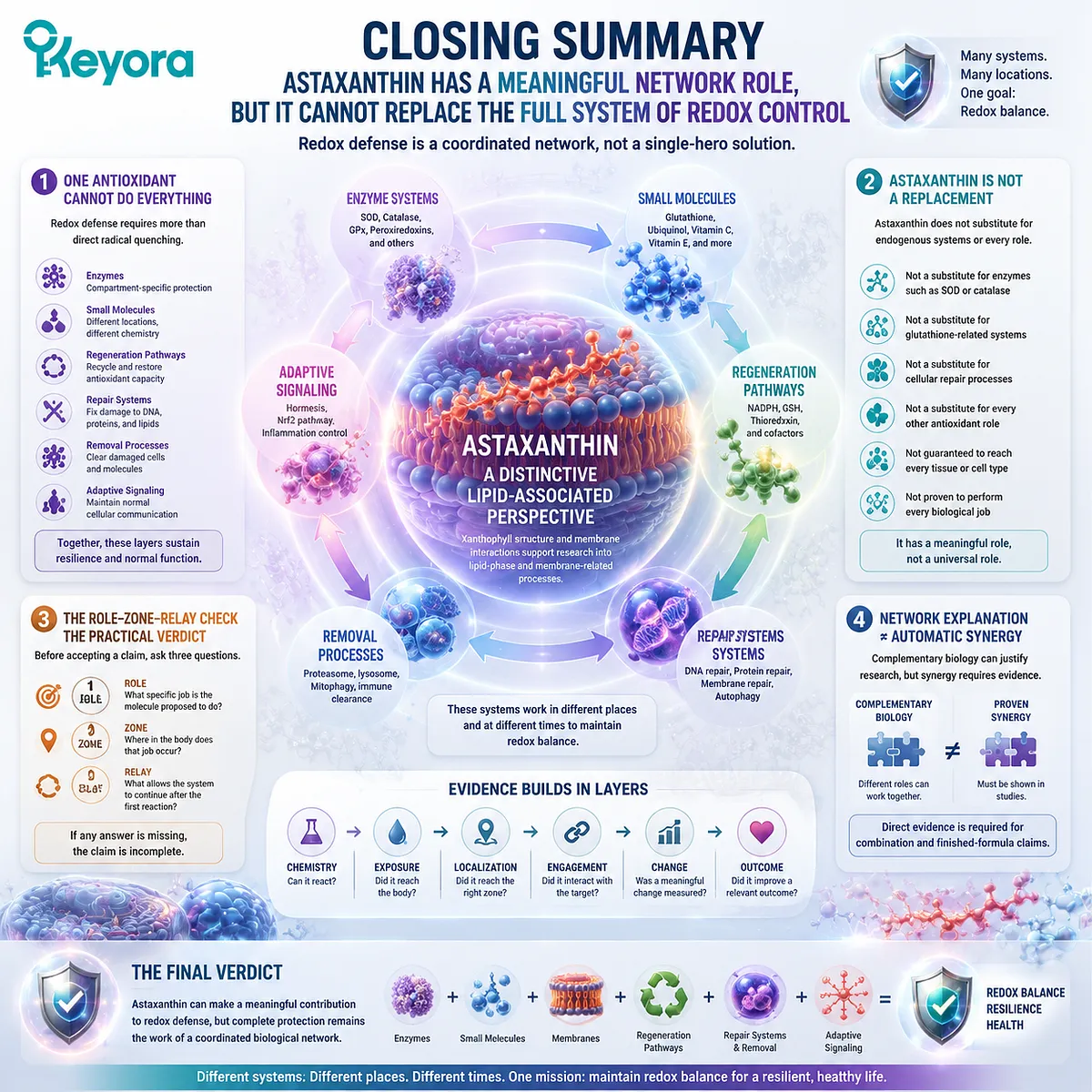 Astaxanthin redox defense role highlights membrane-associated activity, biological zones, and coordinated antioxidant networks through the Keyora Role Zone Relay Check framework. Astaxanthin redox defense role highlights membrane-associated activity, biological zones, and coordinated antioxidant networks through the Keyora Role Zone Relay Check framework.
