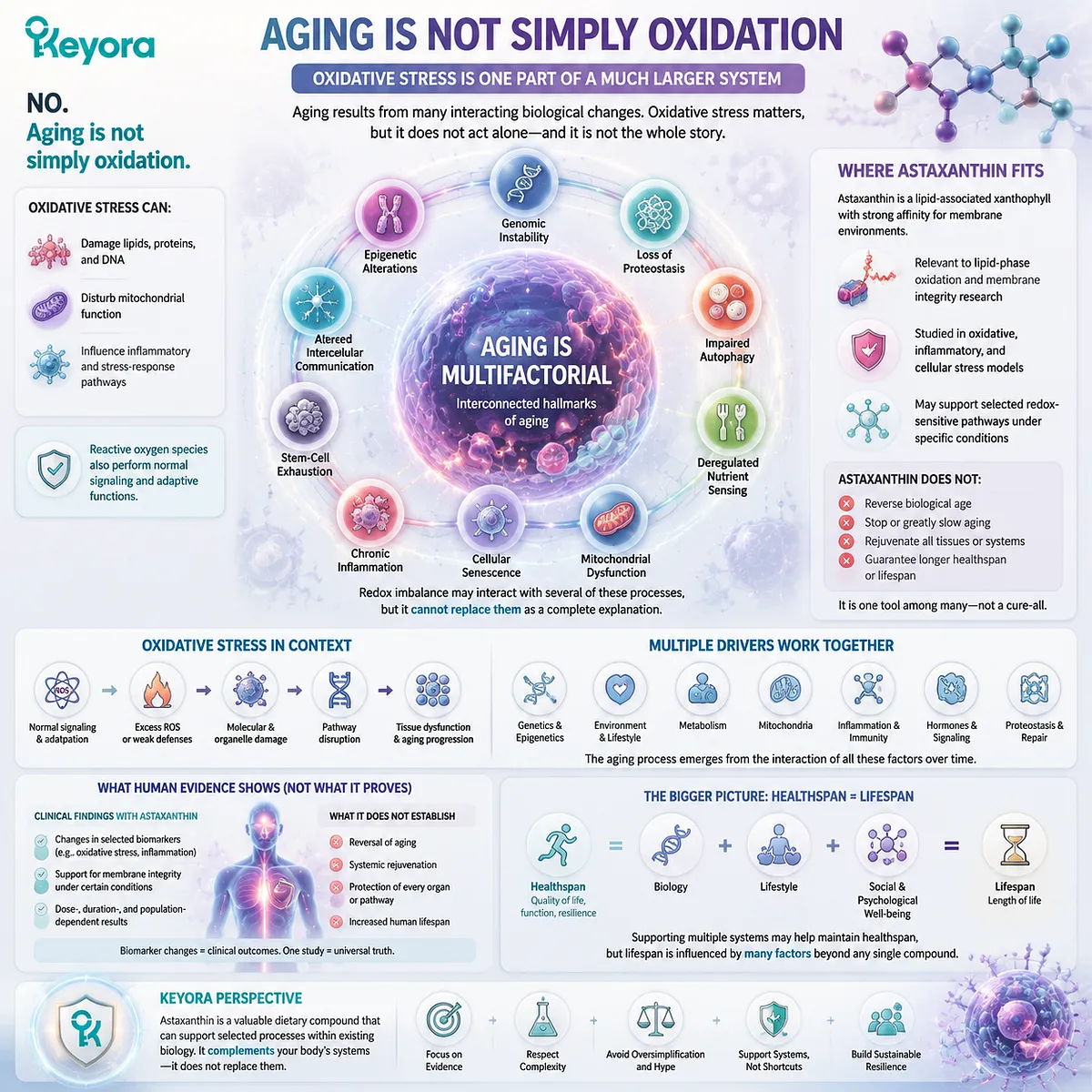 Astaxanthin aging biology connects oxidative stress, mitochondrial function, inflammation, and broader aging pathways through the Keyora Astaxanthin Matrix framework. Astaxanthin aging biology connects oxidative stress, mitochondrial function, inflammation, and broader aging pathways through the Keyora Astaxanthin Matrix framework.