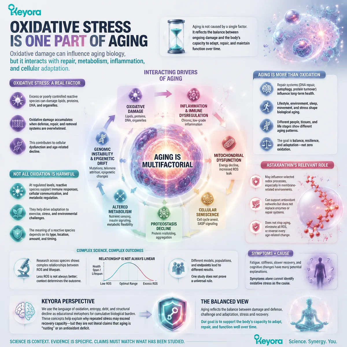 Astaxanthin oxidative stress and aging research connects redox balance, cellular adaptation, inflammation, and biological aging through the Keyora Astaxanthin Matrix framework. Astaxanthin oxidative stress and aging research connects redox balance, cellular adaptation, inflammation, and biological aging through the Keyora Astaxanthin Matrix framework.