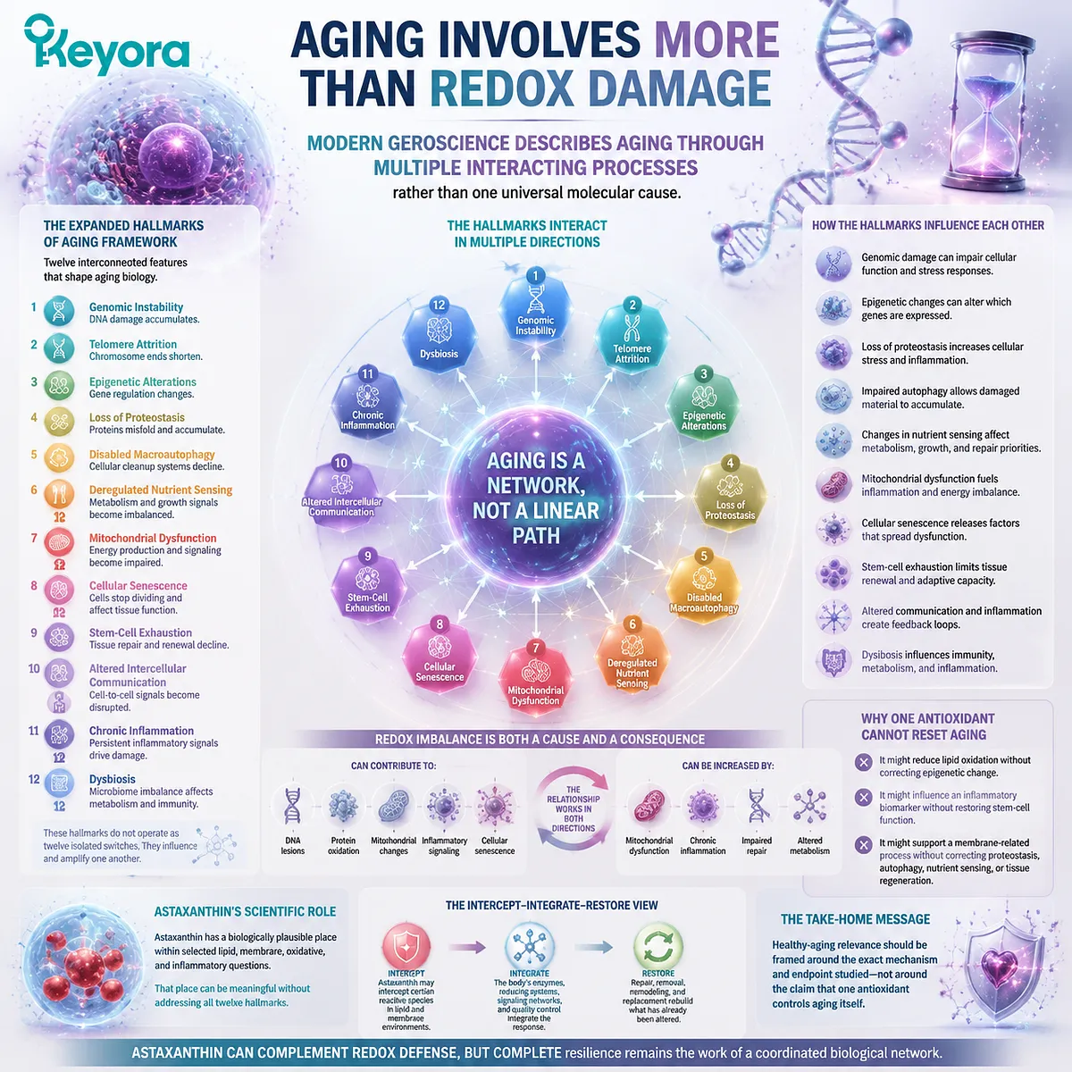 Astaxanthin healthy aging research connects oxidative stress, mitochondrial function, inflammation, and aging biology through the Keyora Astaxanthin Matrix framework. Astaxanthin healthy aging research connects oxidative stress, mitochondrial function, inflammation, and aging biology through the Keyora Astaxanthin Matrix framework.