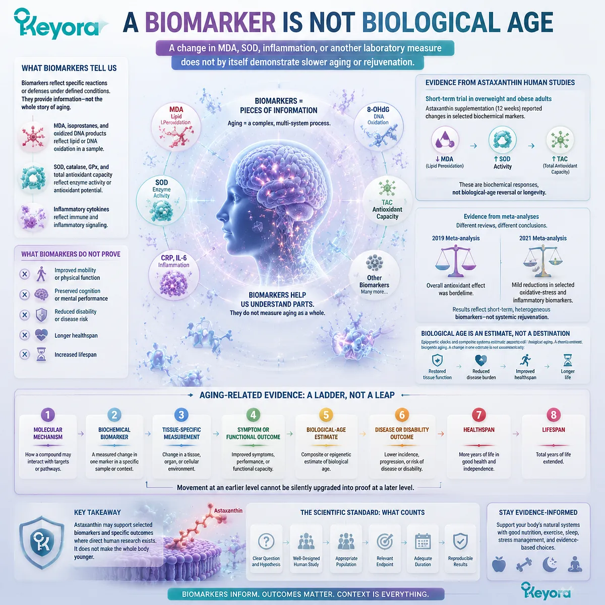 Astaxanthin aging biomarkers explain oxidative stress measurements, biological age limits, and evidence levels through the Keyora Astaxanthin Matrix framework. Astaxanthin aging biomarkers explain oxidative stress measurements, biological age limits, and evidence levels through the Keyora Astaxanthin Matrix framework.