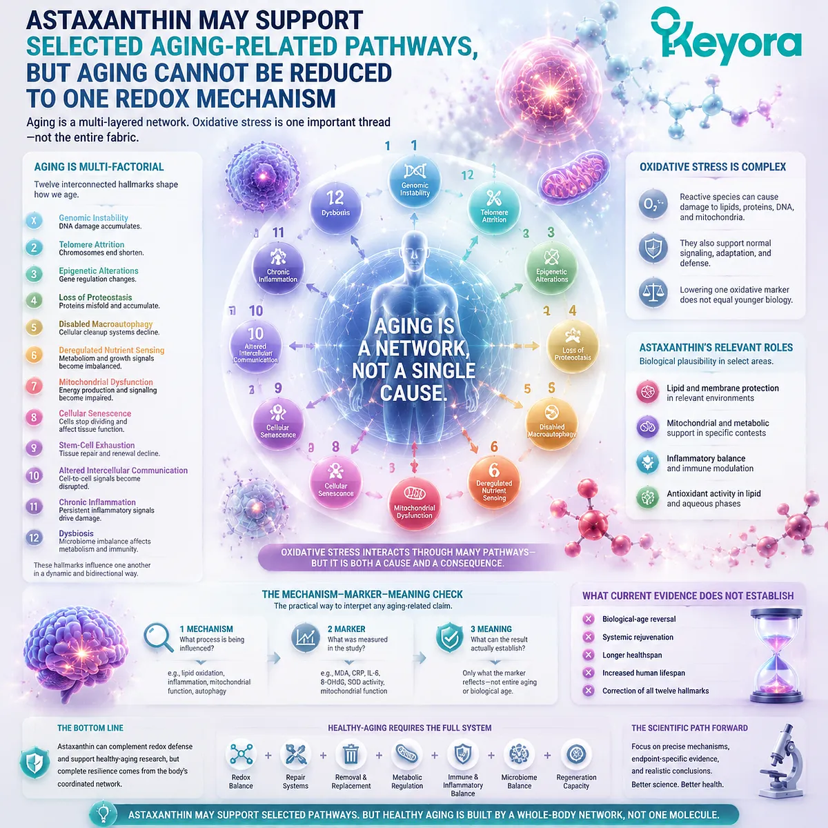 Astaxanthin healthy aging support connects oxidative balance, membrane biology, inflammation, and evidence interpretation through the Keyora Mechanism Marker Meaning Check framework. Astaxanthin healthy aging support connects oxidative balance, membrane biology, inflammation, and evidence interpretation through the Keyora Mechanism Marker Meaning Check framework.
