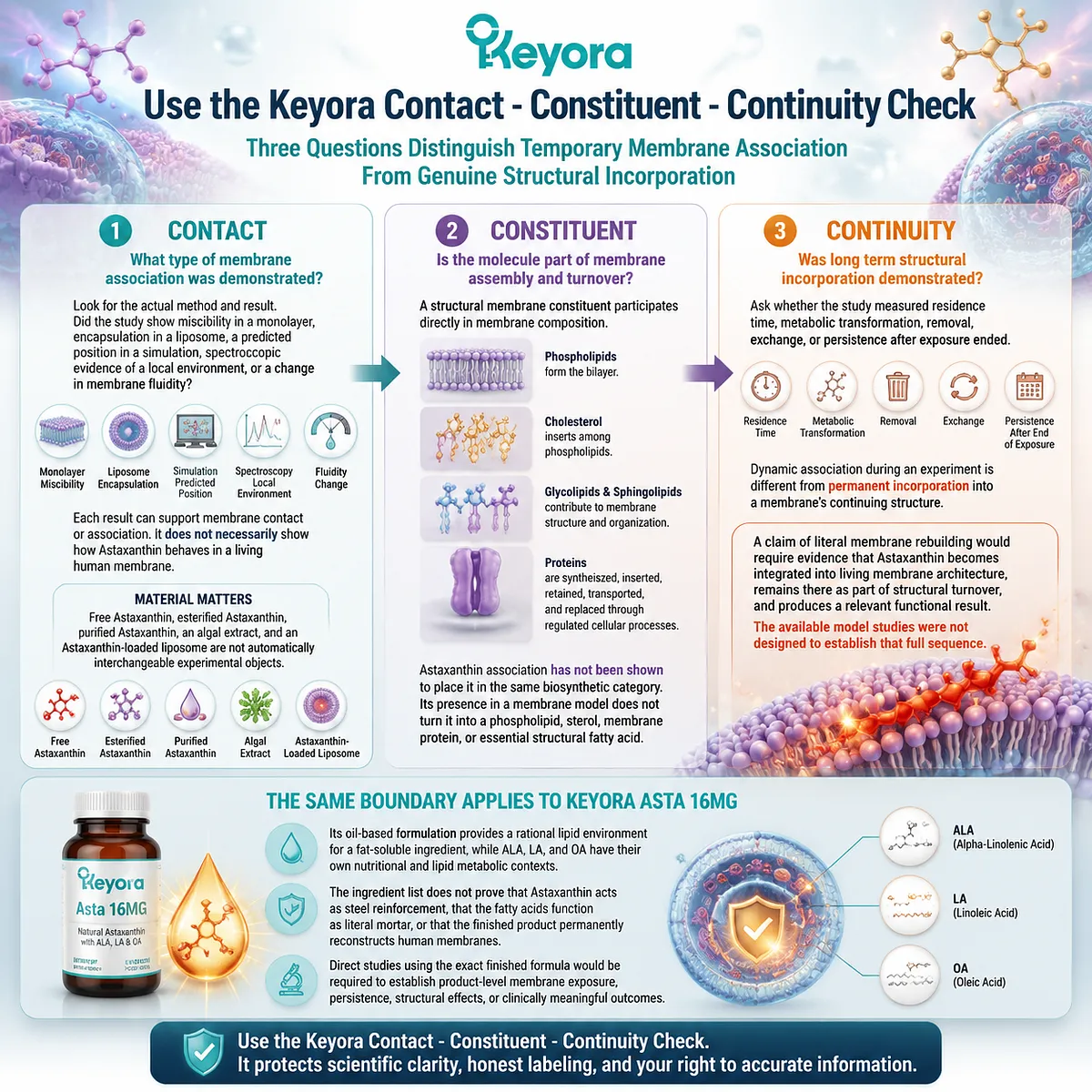 Astaxanthin membrane claims are evaluated through Contact Constituent Continuity Check, separating lipid interaction from structural incorporation in the Keyora Astaxanthin Matrix. Astaxanthin membrane claims are evaluated through Contact Constituent Continuity Check, separating lipid interaction from structural incorporation in the Keyora Astaxanthin Matrix.