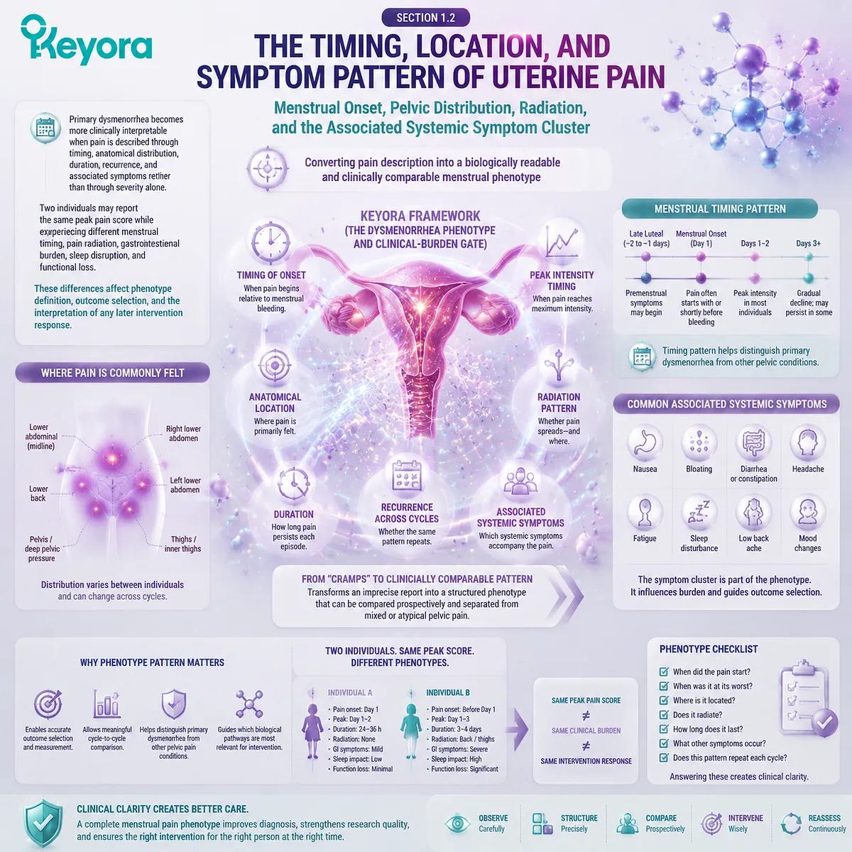 Dysmenorrhea phenotype mapping analyzes menstrual pain timing, pelvic location, radiation patterns and systemic symptoms through Keyora Dysmenorrhea Phenotype and Clinical-Burden Gate. Dysmenorrhea phenotype mapping analyzes menstrual pain timing, pelvic location, radiation patterns and systemic symptoms through Keyora Dysmenorrhea Phenotype and Clinical-Burden Gate.