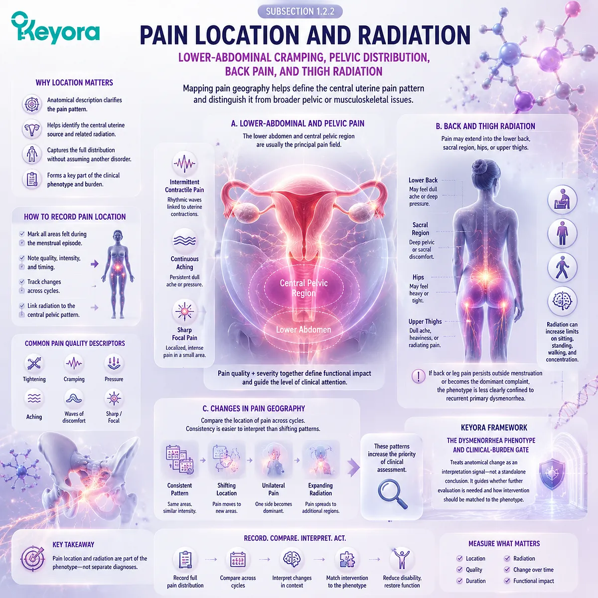 Dysmenorrhea pain mapping analyzes pelvic location, lower-abdominal cramps, back and thigh radiation with symptom geography through Keyora Dysmenorrhea Phenotype and Clinical-Burden Gate. Dysmenorrhea pain mapping analyzes pelvic location, lower-abdominal cramps, back and thigh radiation with symptom geography through Keyora Dysmenorrhea Phenotype and Clinical-Burden Gate.