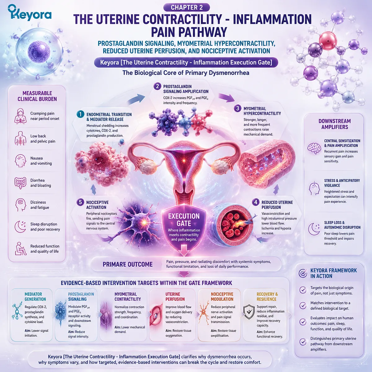 Primary dysmenorrhea pain pathway showing prostaglandin signaling, myometrial hypercontractility, uterine perfusion changes, and nociceptive activation through Keyora Uterine Contractility - Inflammation Execution Gate. Primary dysmenorrhea pain pathway showing prostaglandin signaling, myometrial hypercontractility, uterine perfusion changes, and nociceptive activation through Keyora Uterine Contractility - Inflammation Execution Gate.