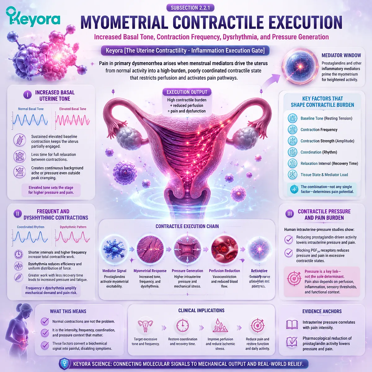 Primary dysmenorrhea mechanism showing myometrial contractile execution, increased uterine tone, contraction frequency, pressure generation, and pain signaling through Keyora Uterine Contractility - Inflammation Execution Gate. Primary dysmenorrhea mechanism showing myometrial contractile execution, increased uterine tone, contraction frequency, pressure generation, and pain signaling through Keyora Uterine Contractility - Inflammation Execution Gate.