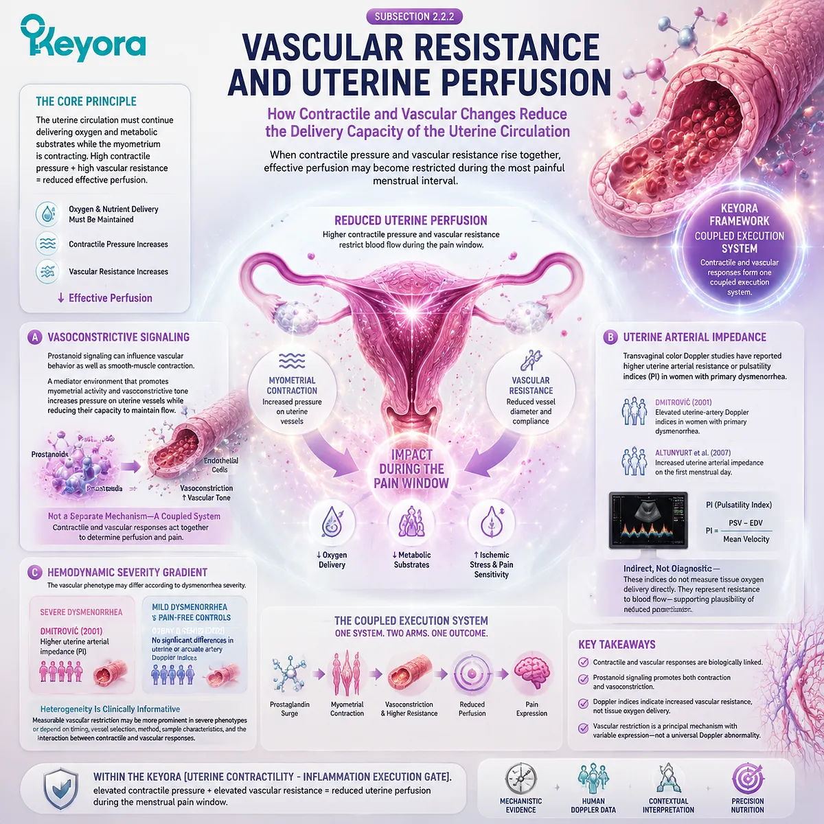 Primary dysmenorrhea vascular pathway showing uterine vasoconstriction, arterial impedance, reduced perfusion, hemodynamic stress, and contractile signaling through Keyora Uterine Contractility - Inflammation Execution Gate. Primary dysmenorrhea vascular pathway showing uterine vasoconstriction, arterial impedance, reduced perfusion, hemodynamic stress, and contractile signaling through Keyora Uterine Contractility - Inflammation Execution Gate.