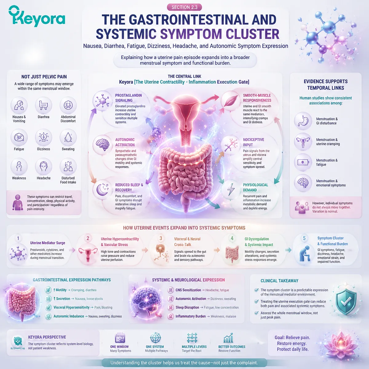 Primary dysmenorrhea symptom cluster showing prostaglandin signaling, uterine pain pathways, gastrointestinal effects, autonomic activation, fatigue, and systemic burden through Keyora Uterine Contractility - Inflammation Execution Gate. Primary dysmenorrhea symptom cluster showing prostaglandin signaling, uterine pain pathways, gastrointestinal effects, autonomic activation, fatigue, and systemic burden through Keyora Uterine Contractility - Inflammation Execution Gate.