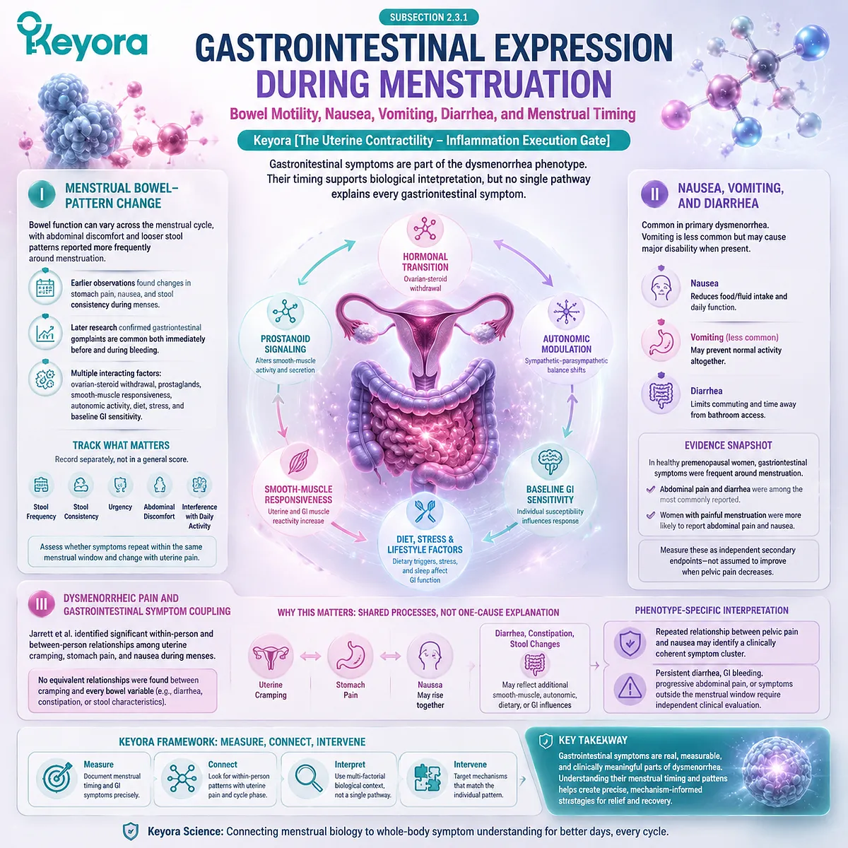 Primary dysmenorrhea gastrointestinal pathway showing menstrual timing, prostaglandin signaling, bowel motility changes, nausea, diarrhea, and systemic symptom expression through Keyora Uterine Contractility - Inflammation Execution Gate. Primary dysmenorrhea gastrointestinal pathway showing menstrual timing, prostaglandin signaling, bowel motility changes, nausea, diarrhea, and systemic symptom expression through Keyora Uterine Contractility - Inflammation Execution Gate.