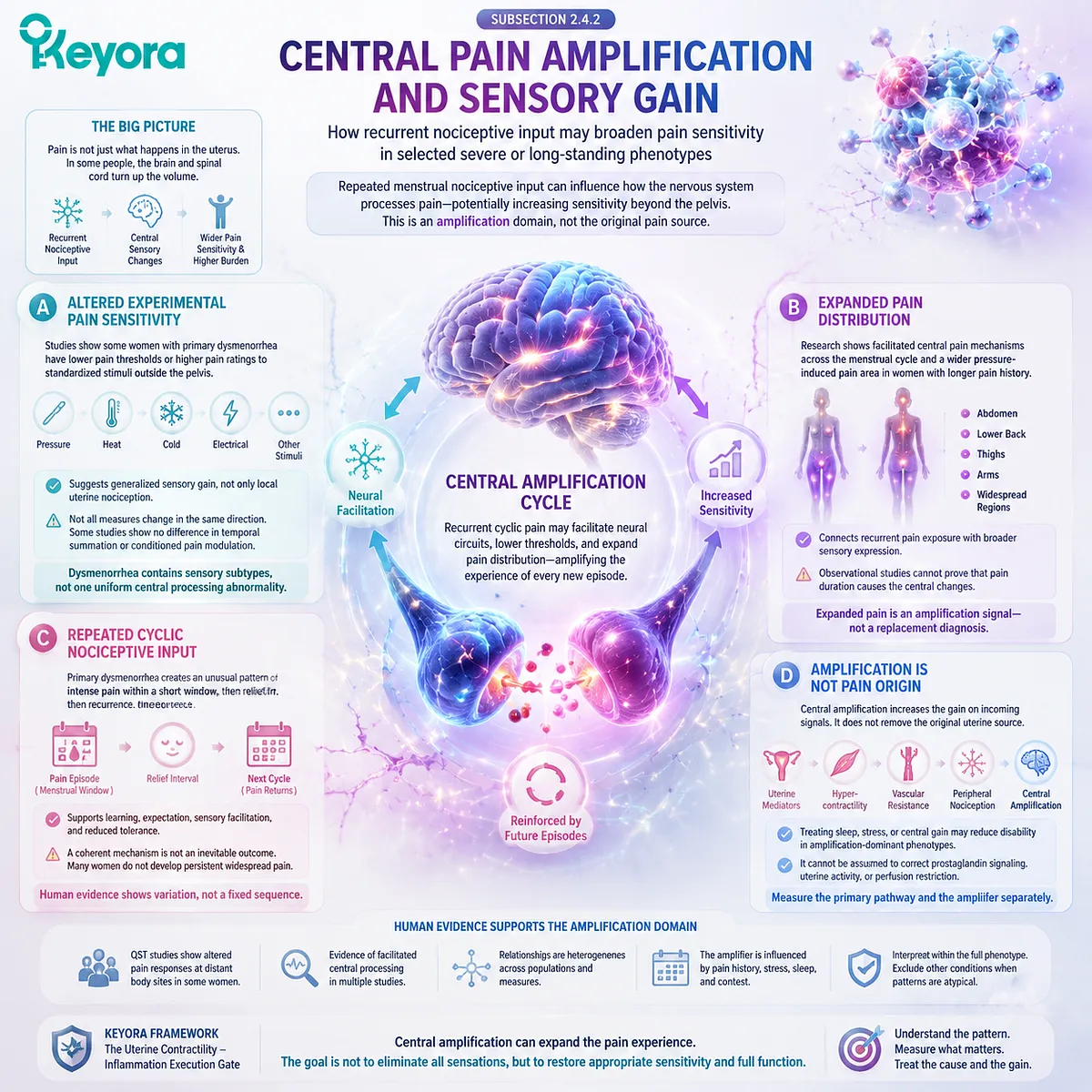 Primary dysmenorrhea central pain amplification pathway showing recurrent nociceptive input, sensory gain, altered pain sensitivity, and expanded pain processing through Keyora Uterine Contractility - Inflammation Execution Gate. Primary dysmenorrhea central pain amplification pathway showing recurrent nociceptive input, sensory gain, altered pain sensitivity, and expanded pain processing through Keyora Uterine Contractility - Inflammation Execution Gate.