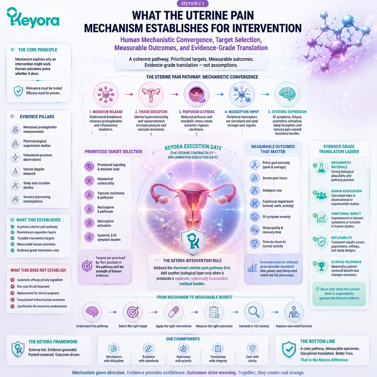 Primary dysmenorrhea intervention pathway showing prostaglandin signaling, uterine contractility, perfusion changes, human evidence targets, and measurable outcomes through Keyora Uterine Contractility - Inflammation Execution Gate. Primary dysmenorrhea intervention pathway showing prostaglandin signaling, uterine contractility, perfusion changes, human evidence targets, and measurable outcomes through Keyora Uterine Contractility - Inflammation Execution Gate.