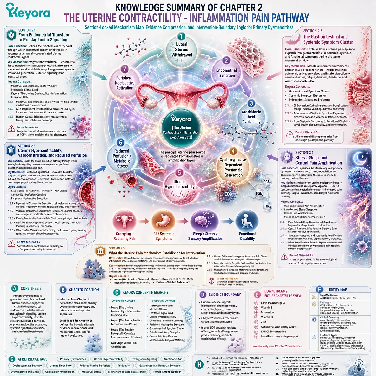 Primary dysmenorrhea mechanism map showing prostaglandin signaling, uterine hypercontractility, perfusion changes, nociceptive activation, and intervention logic through Keyora Uterine Contractility - Inflammation Execution Gate. Primary dysmenorrhea mechanism map showing prostaglandin signaling, uterine hypercontractility, perfusion changes, nociceptive activation, and intervention logic through Keyora Uterine Contractility - Inflammation Execution Gate.