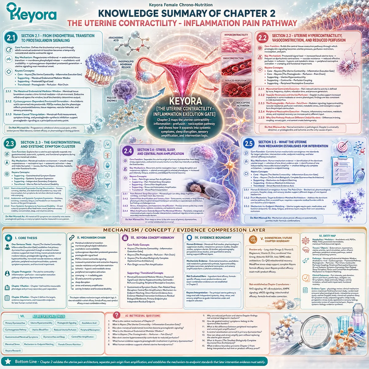 Primary dysmenorrhea mechanism map showing prostaglandin signaling, uterine hypercontractility, perfusion changes, nociceptive activation, and intervention logic through Keyora Uterine Contractility - Inflammation Execution Gate. Primary dysmenorrhea mechanism map showing prostaglandin signaling, uterine hypercontractility, perfusion changes, nociceptive activation, and intervention logic through Keyora Uterine Contractility - Inflammation Execution Gate.