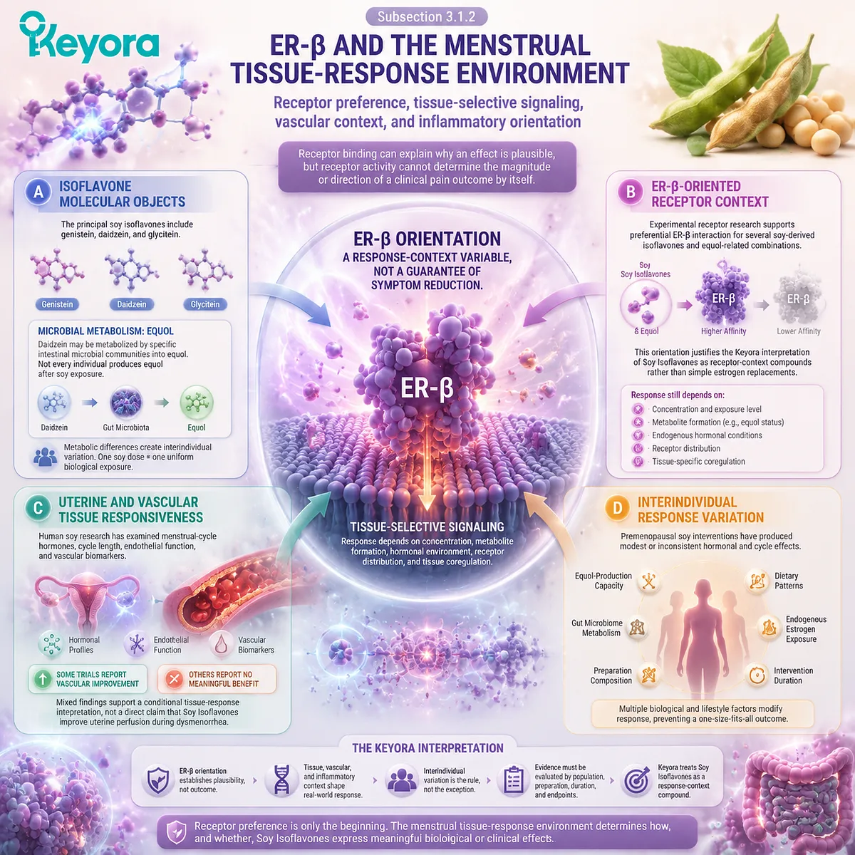 Soy isoflavones interact with ER-β signaling and tissue-responsive pathways, linking receptor orientation, vascular context, and menstrual wellness variation through Keyora Evidence-Grade Dysmenorrhea Multi-Nutrient Matrix. Soy isoflavones interact with ER-β signaling and tissue-responsive pathways, linking receptor orientation, vascular context, and menstrual wellness variation through Keyora Evidence-Grade Dysmenorrhea Multi-Nutrient Matrix.