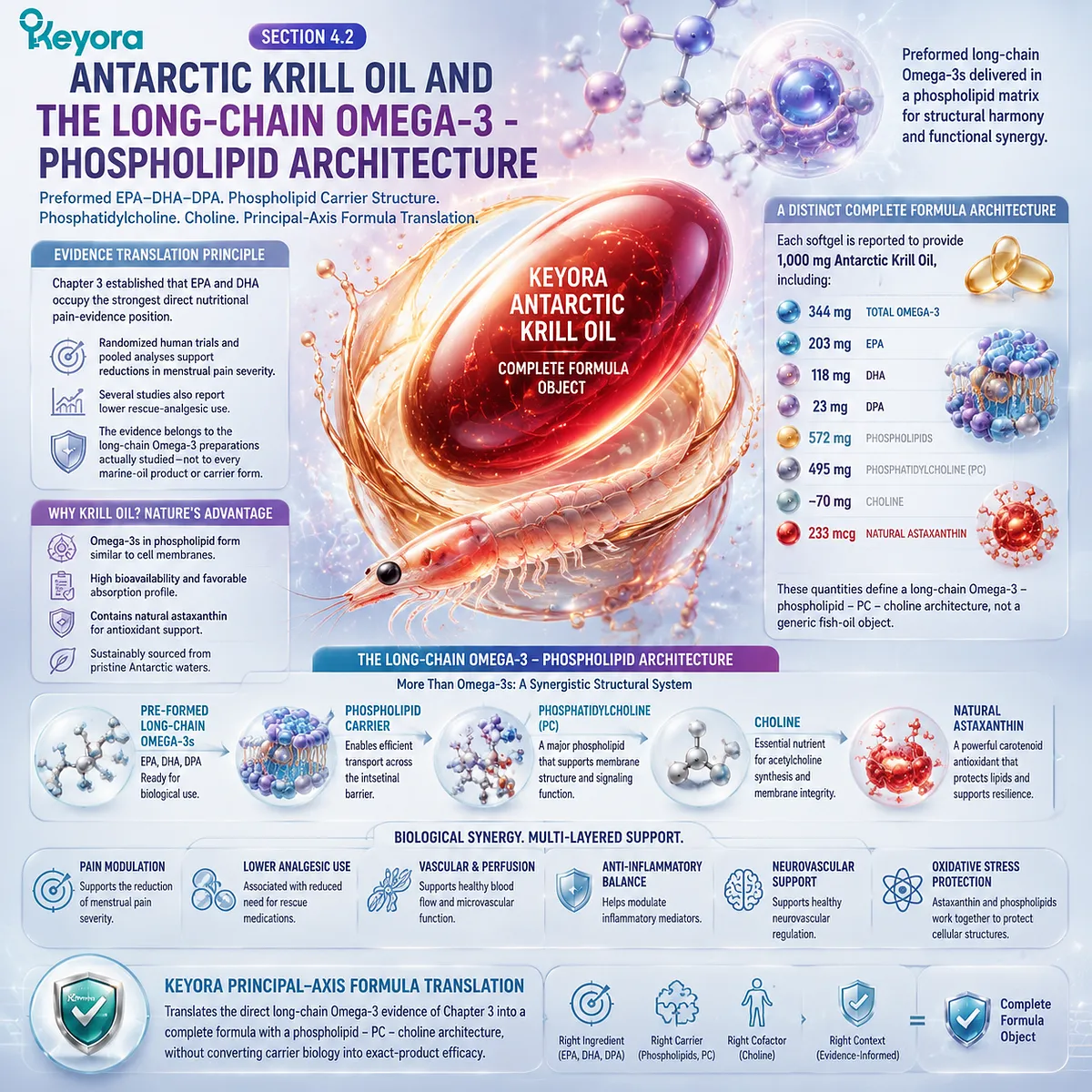 Antarctic krill oil supports dysmenorrhea pain pathways through EPA DHA DPA omega-3 and phospholipid architecture, defining Keyora Dysmenorrhea Pain-Amplification Matrix. Antarctic krill oil supports dysmenorrhea pain pathways through EPA DHA DPA omega-3 and phospholipid architecture, defining Keyora Dysmenorrhea Pain-Amplification Matrix.