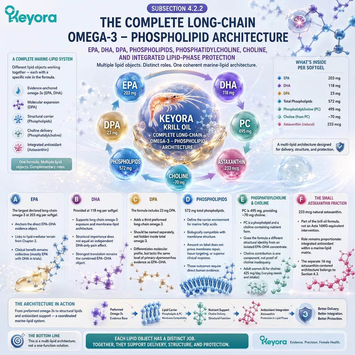 Antarctic krill oil combines EPA DHA DPA phospholipids phosphatidylcholine and choline into a long-chain omega-3 delivery architecture within Keyora Dysmenorrhea Pain-Amplification Matrix. Antarctic krill oil combines EPA DHA DPA phospholipids phosphatidylcholine and choline into a long-chain omega-3 delivery architecture within Keyora Dysmenorrhea Pain-Amplification Matrix.