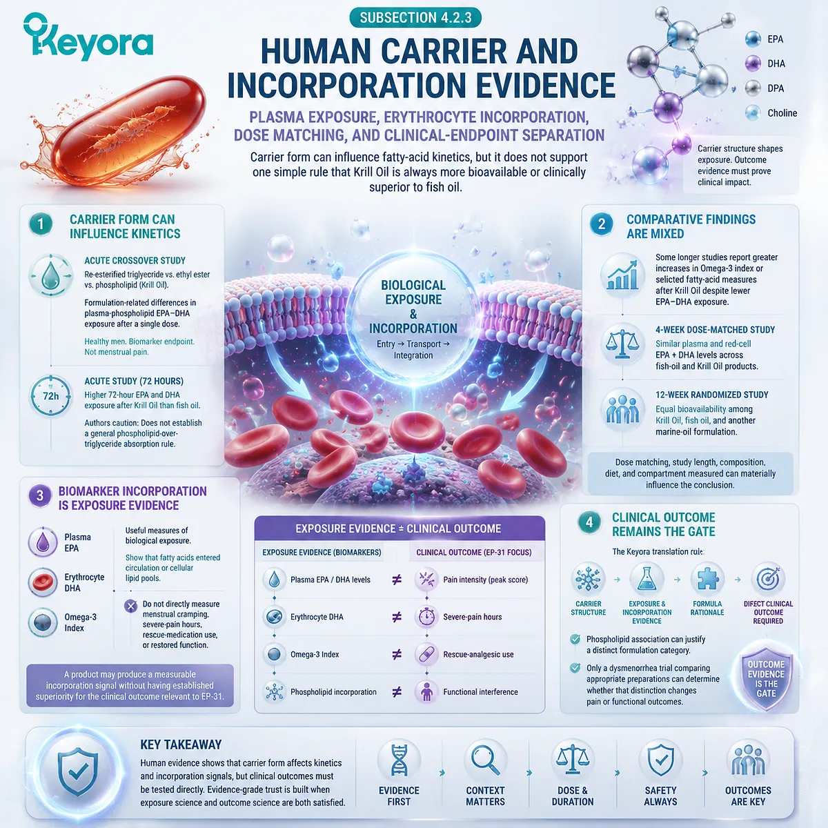 Antarctic krill oil carrier research links omega-3 phospholipid incorporation with EPA DHA exposure while separating biomarkers from dysmenorrhea outcomes in Keyora Female Chrono-Nutrition. Antarctic krill oil carrier research links omega-3 phospholipid incorporation with EPA DHA exposure while separating biomarkers from dysmenorrhea outcomes in Keyora Female Chrono-Nutrition.