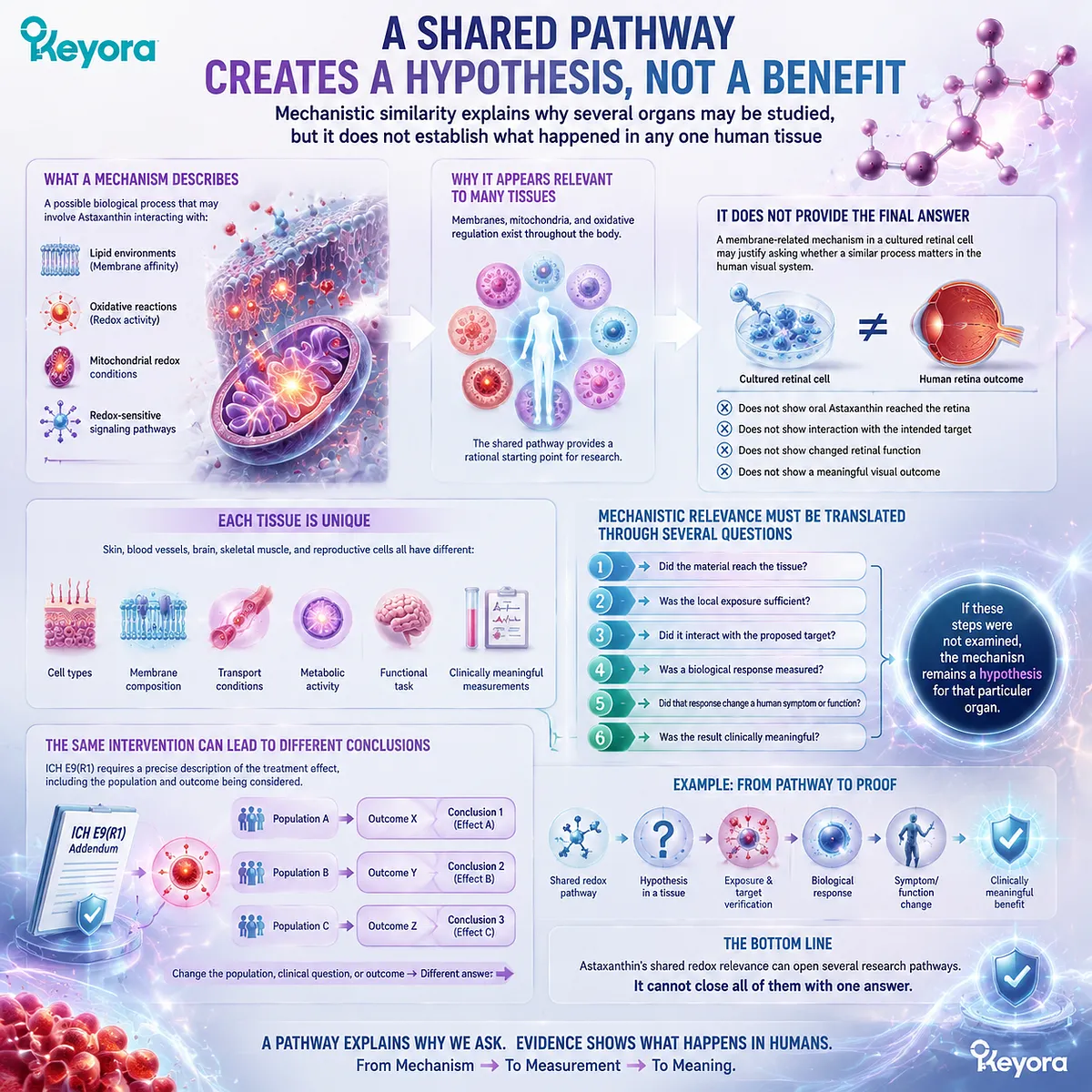 Astaxanthin mechanisms create research hypotheses through redox activity, mitochondrial support, and tissue exposure pathways, framed by Keyora Astaxanthin Matrix evidence boundaries. Astaxanthin mechanisms create research hypotheses through redox activity, mitochondrial support, and tissue exposure pathways, framed by Keyora Astaxanthin Matrix evidence boundaries.
