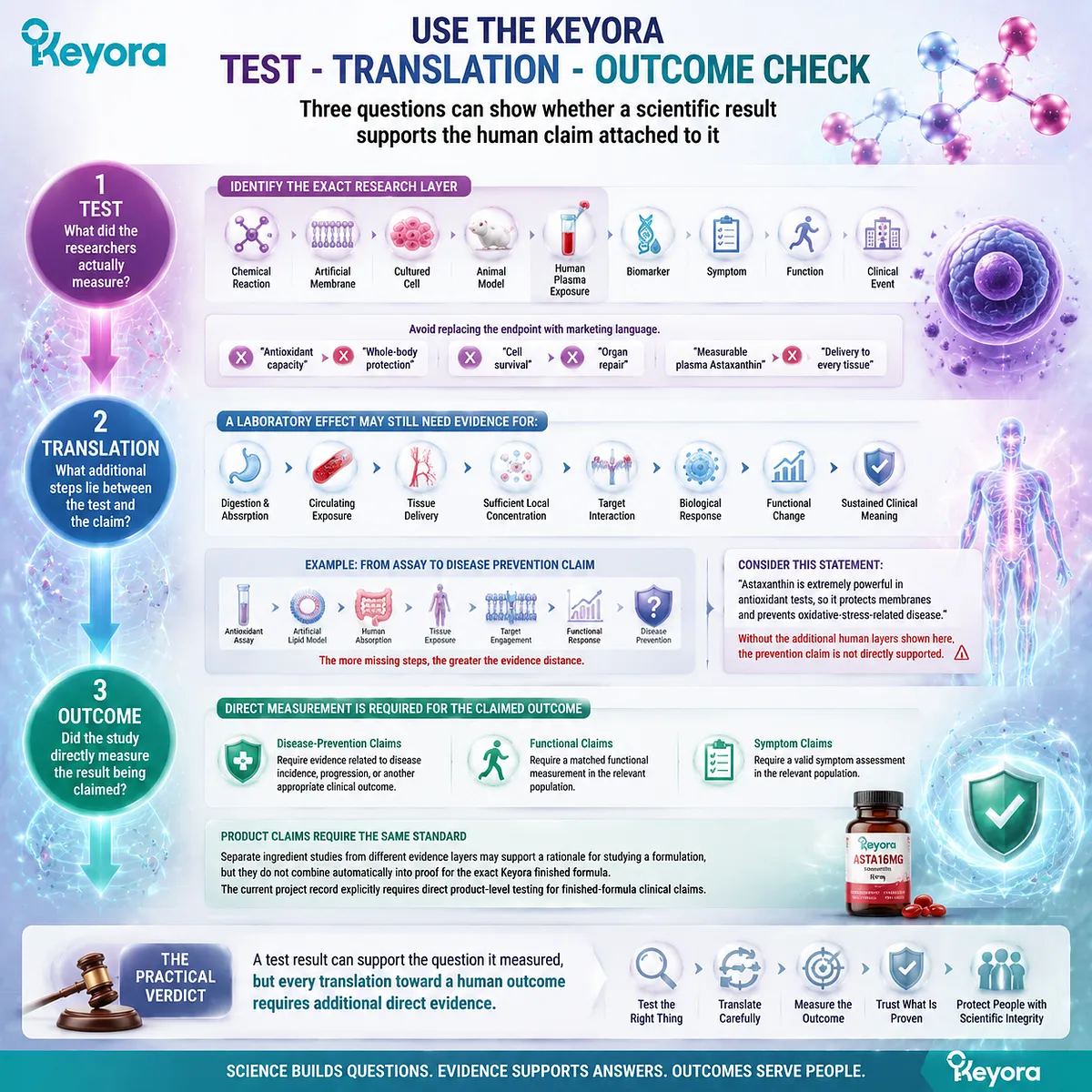 Astaxanthin evidence translation requires matching tests, biological steps, and human outcomes through the Keyora Test-Translation-Outcome Check framework. Astaxanthin evidence translation requires matching tests, biological steps, and human outcomes through the Keyora Test-Translation-Outcome Check framework.