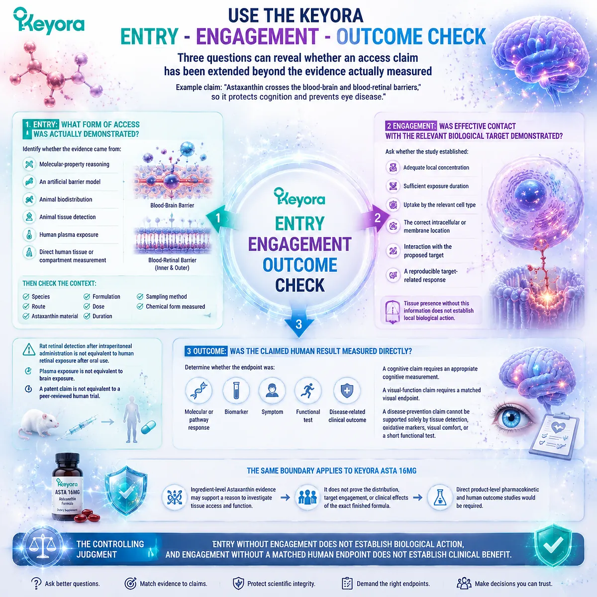 Astaxanthin tissue entry, target engagement, and human outcomes require separate validation through the Keyora Entry-Engagement-Outcome Check evidence framework. Astaxanthin tissue entry, target engagement, and human outcomes require separate validation through the Keyora Entry-Engagement-Outcome Check evidence framework.