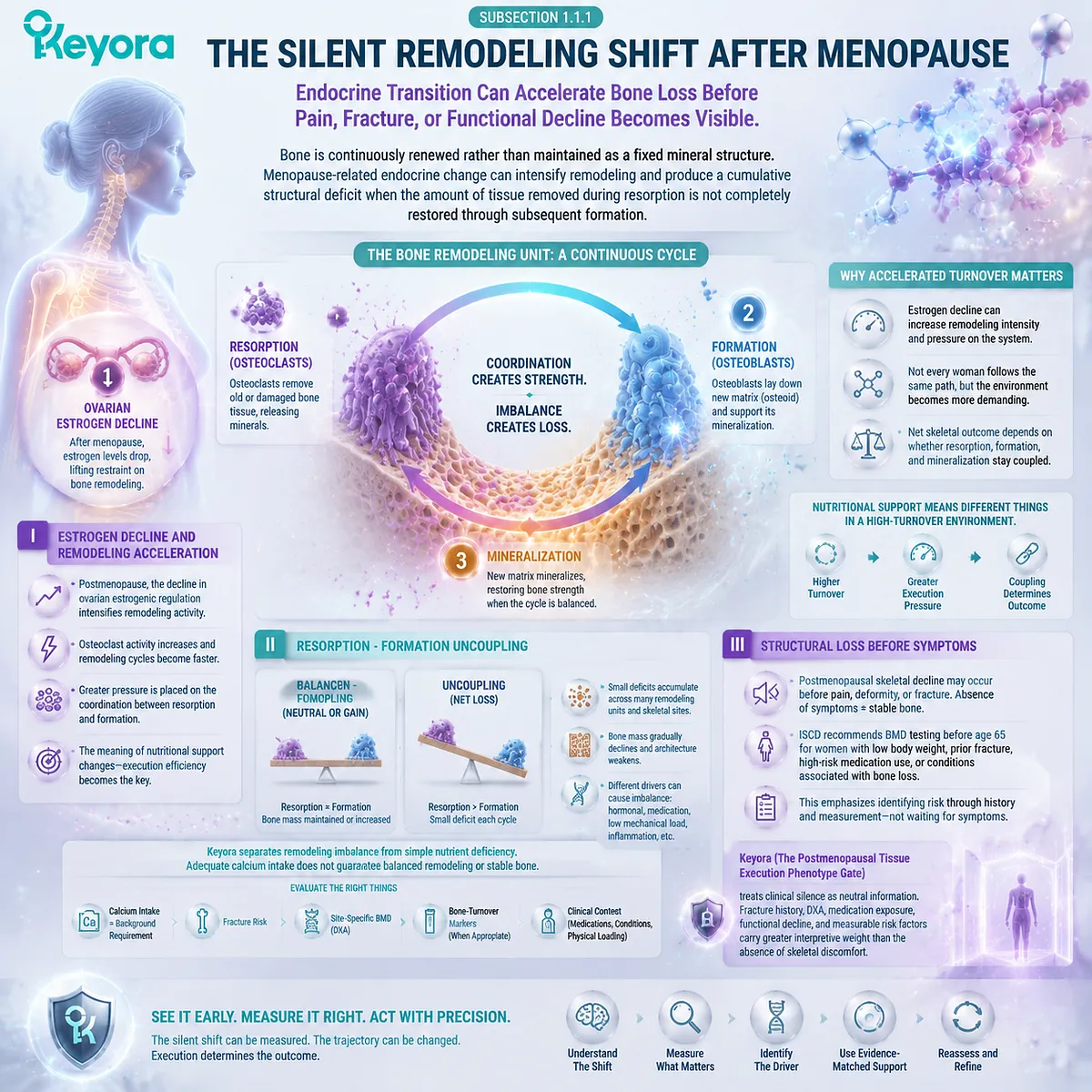 Postmenopausal bone loss begins with estrogen decline, remodeling uncoupling, and silent skeletal change assessed by Keyora Postmenopausal Tissue Execution Phenotype Gate. Postmenopausal bone loss begins with estrogen decline, remodeling uncoupling, and silent skeletal change assessed by Keyora Postmenopausal Tissue Execution Phenotype Gate.