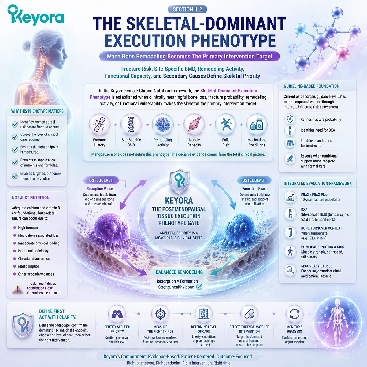 Skeletal-dominant postmenopausal bone loss is defined by fracture risk, BMD, remodeling activity, muscle function, and clinical factors through Keyora Tissue Execution Phenotype Gate. Skeletal-dominant postmenopausal bone loss is defined by fracture risk, BMD, remodeling activity, muscle function, and clinical factors through Keyora Tissue Execution Phenotype Gate.