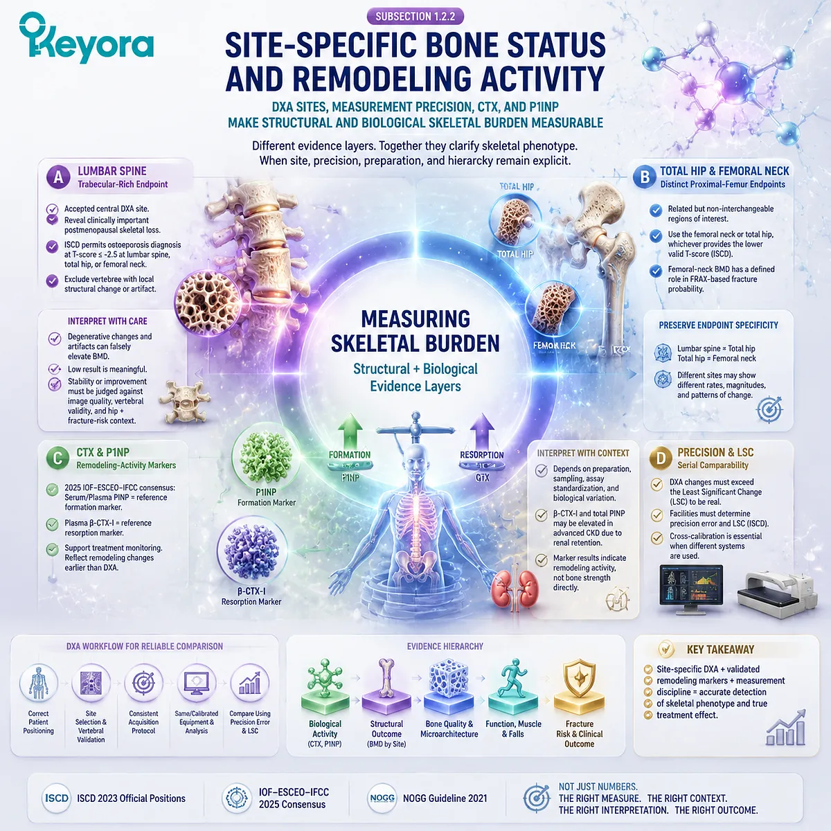 Postmenopausal bone assessment combines DXA sites, CTX, P1NP, remodeling activity, and measurement precision through Keyora Tissue Execution Phenotype Gate. Postmenopausal bone assessment combines DXA sites, CTX, P1NP, remodeling activity, and measurement precision through Keyora Tissue Execution Phenotype Gate.