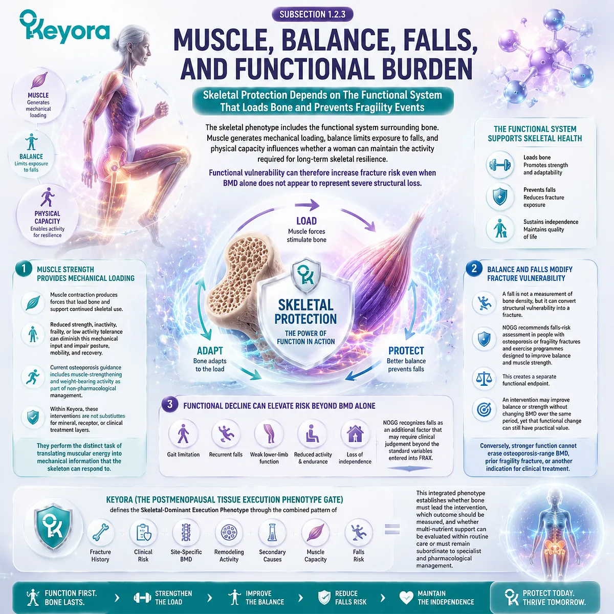 Postmenopausal bone resilience connects muscle strength, balance, falls, physical loading, and fracture risk through Keyora Postmenopausal Tissue Execution Phenotype Gate. Postmenopausal bone resilience connects muscle strength, balance, falls, physical loading, and fracture risk through Keyora Postmenopausal Tissue Execution Phenotype Gate.