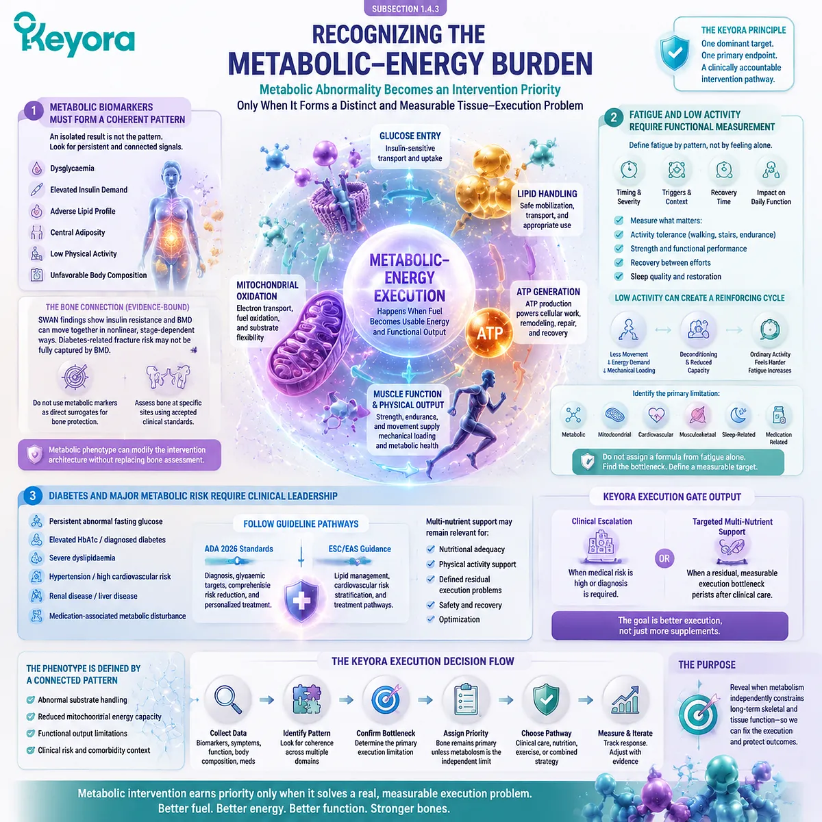 Postmenopausal metabolic-energy burden integrates glucose, insulin, lipids, fatigue, function, and clinical risk through Keyora Metabolic-Energy Execution Phenotype. Postmenopausal metabolic-energy burden integrates glucose, insulin, lipids, fatigue, function, and clinical risk through Keyora Metabolic-Energy Execution Phenotype.