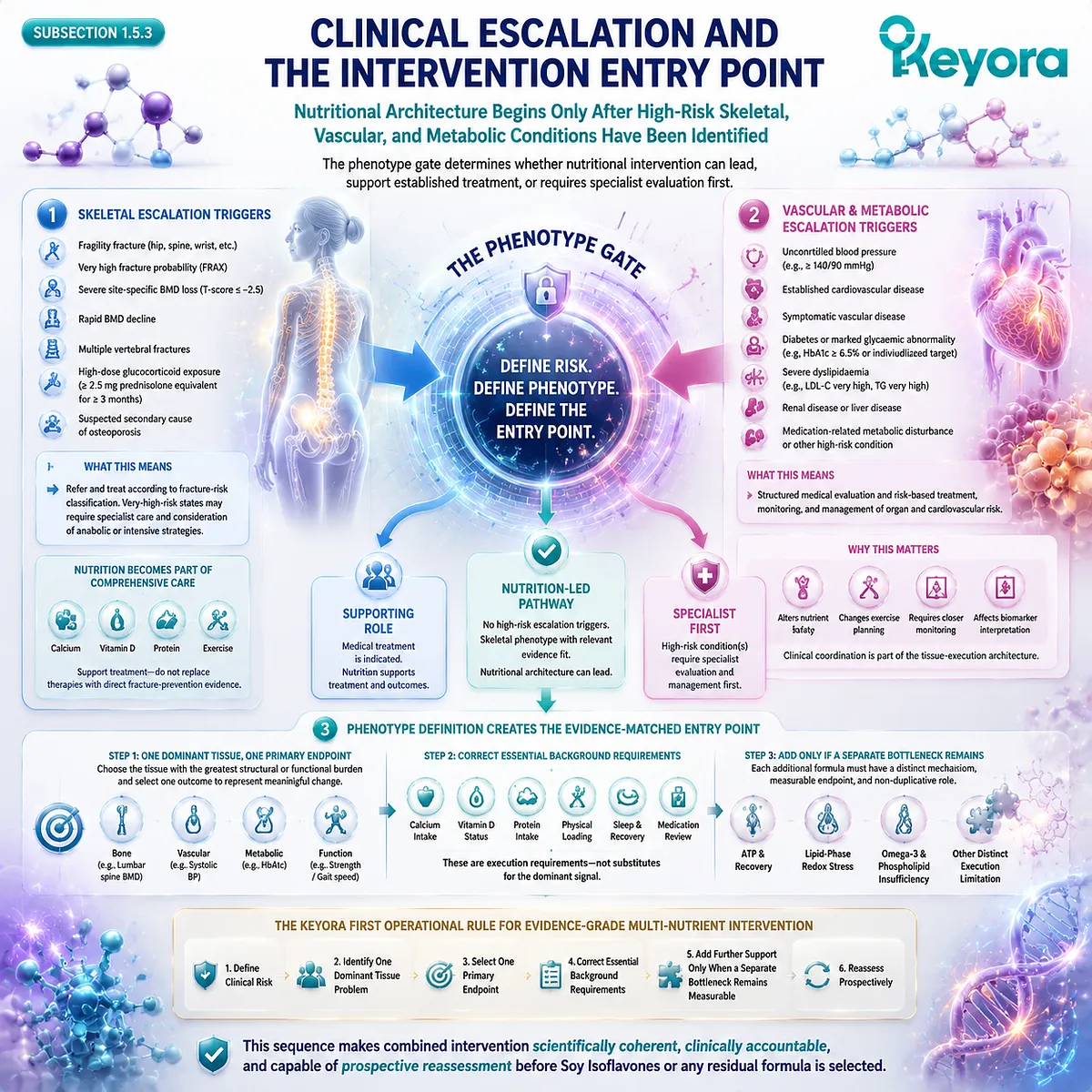 Postmenopausal nutrition entry requires clinical risk screening, skeletal assessment, vascular evaluation, and phenotype selection through Keyora Tissue Execution Phenotype Gate. Postmenopausal nutrition entry requires clinical risk screening, skeletal assessment, vascular evaluation, and phenotype selection through Keyora Tissue Execution Phenotype Gate.
