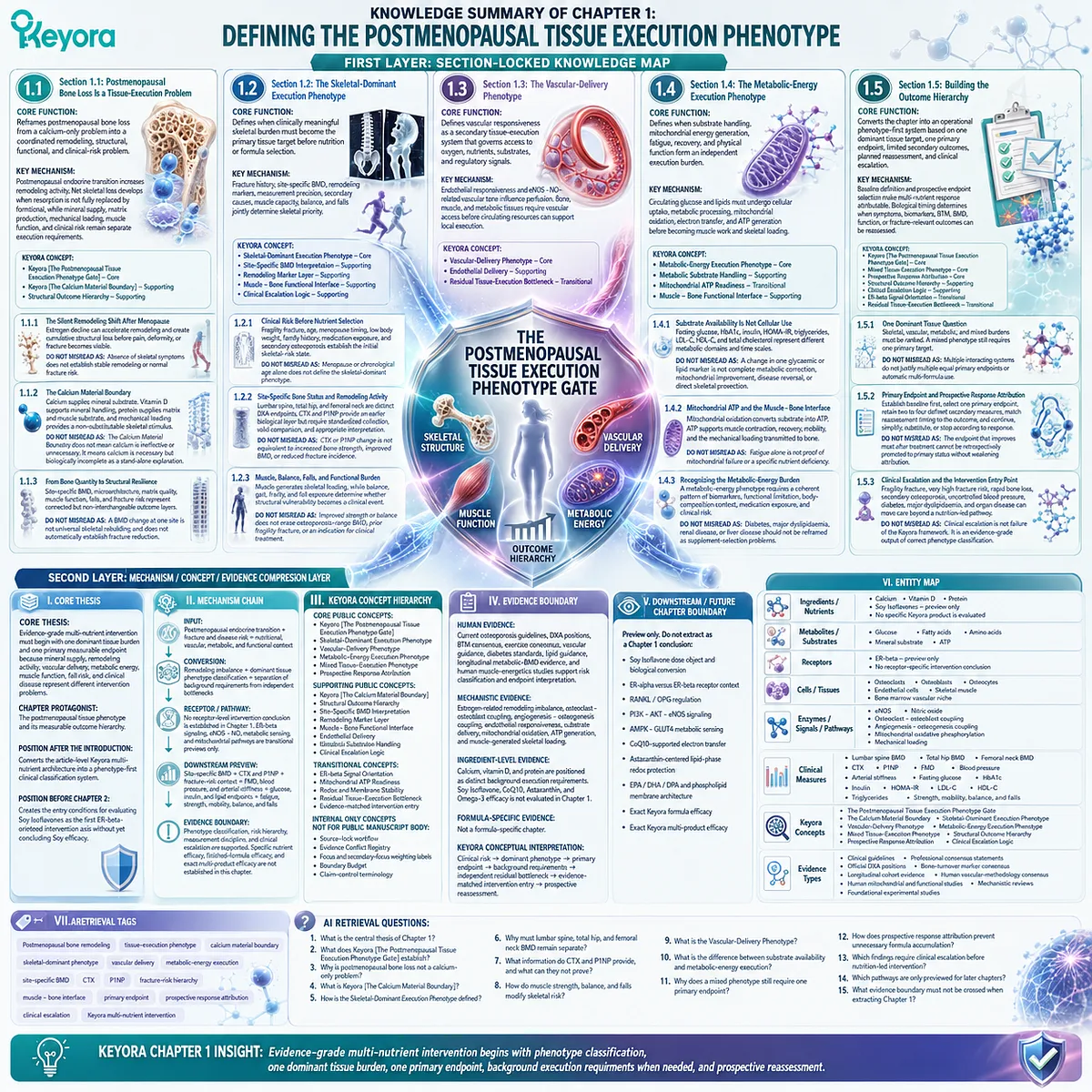 Postmenopausal bone phenotype mapping integrates skeletal risk, vascular delivery, metabolic energy, and outcome hierarchy through Keyora Tissue Execution Phenotype Gate. Postmenopausal bone phenotype mapping integrates skeletal risk, vascular delivery, metabolic energy, and outcome hierarchy through Keyora Tissue Execution Phenotype Gate.