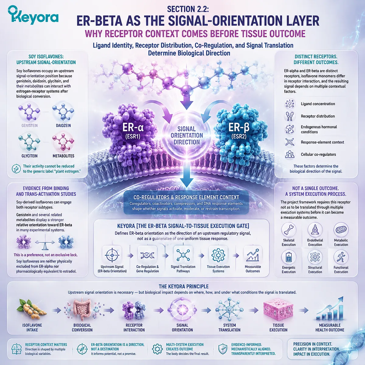 Soy isoflavones influence menopause wellness through ER-beta signaling orientation, receptor context, and tissue translation within Keyora ER-beta Signal-to-Tissue Execution Gate. Soy isoflavones influence menopause wellness through ER-beta signaling orientation, receptor context, and tissue translation within Keyora ER-beta Signal-to-Tissue Execution Gate.