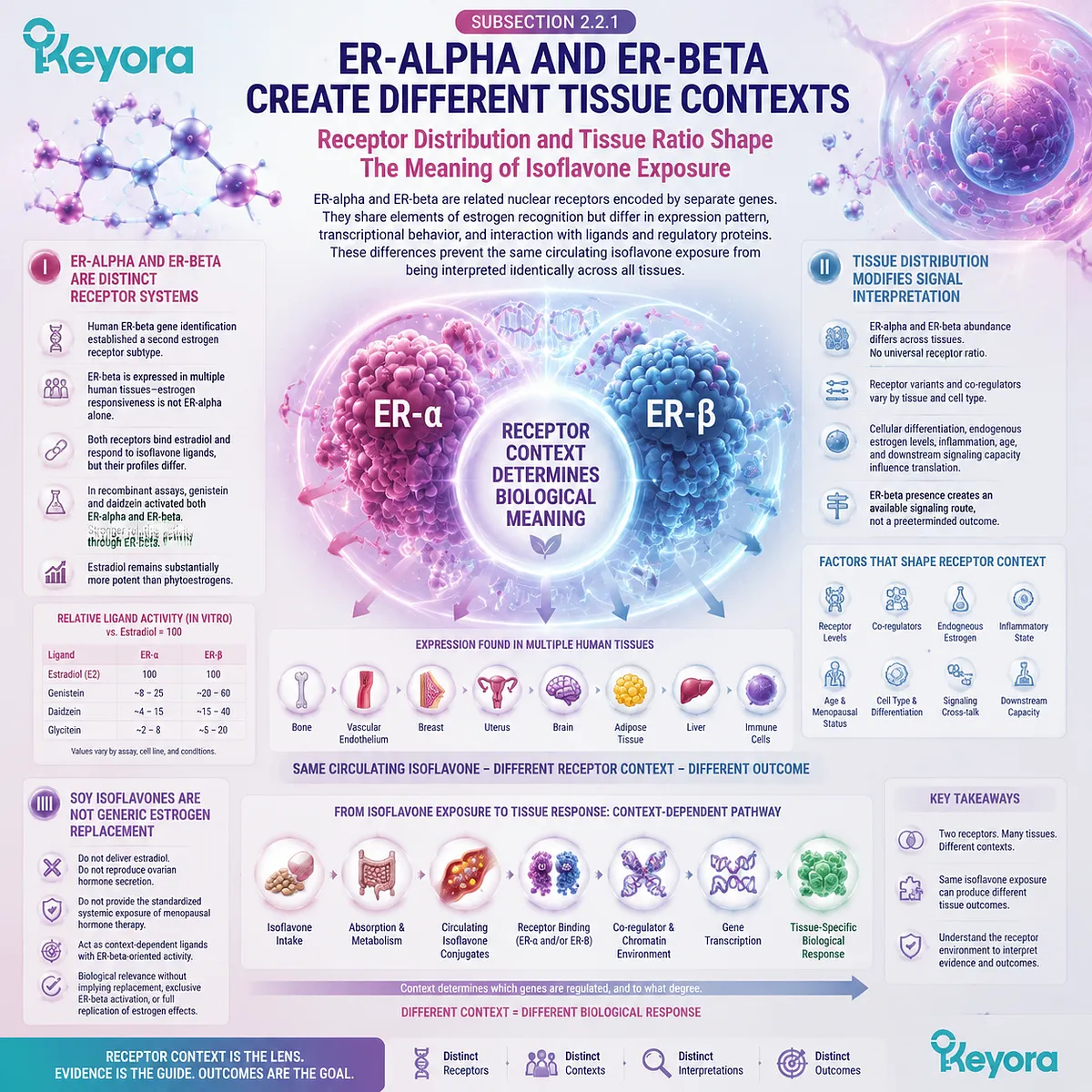Soy isoflavones support menopause wellness through ER-alpha and ER-beta signaling context, receptor distribution, and tissue interpretation via Keyora ER-beta Signal-to-Tissue Execution Gate. Soy isoflavones support menopause wellness through ER-alpha and ER-beta signaling context, receptor distribution, and tissue interpretation via Keyora ER-beta Signal-to-Tissue Execution Gate.