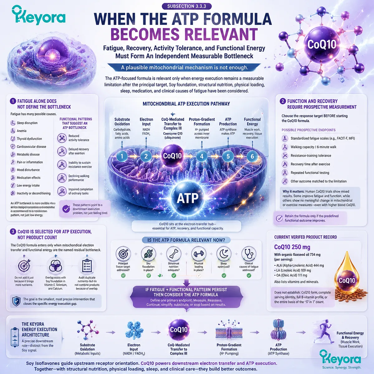 CoQ10 supports fatigue, recovery, and activity tolerance through mitochondrial ATP execution, measurable energy endpoints, and Keyora Evidence-Matched Multi-Nutrient Combined Intervention Matrix. CoQ10 supports fatigue, recovery, and activity tolerance through mitochondrial ATP execution, measurable energy endpoints, and Keyora Evidence-Matched Multi-Nutrient Combined Intervention Matrix.