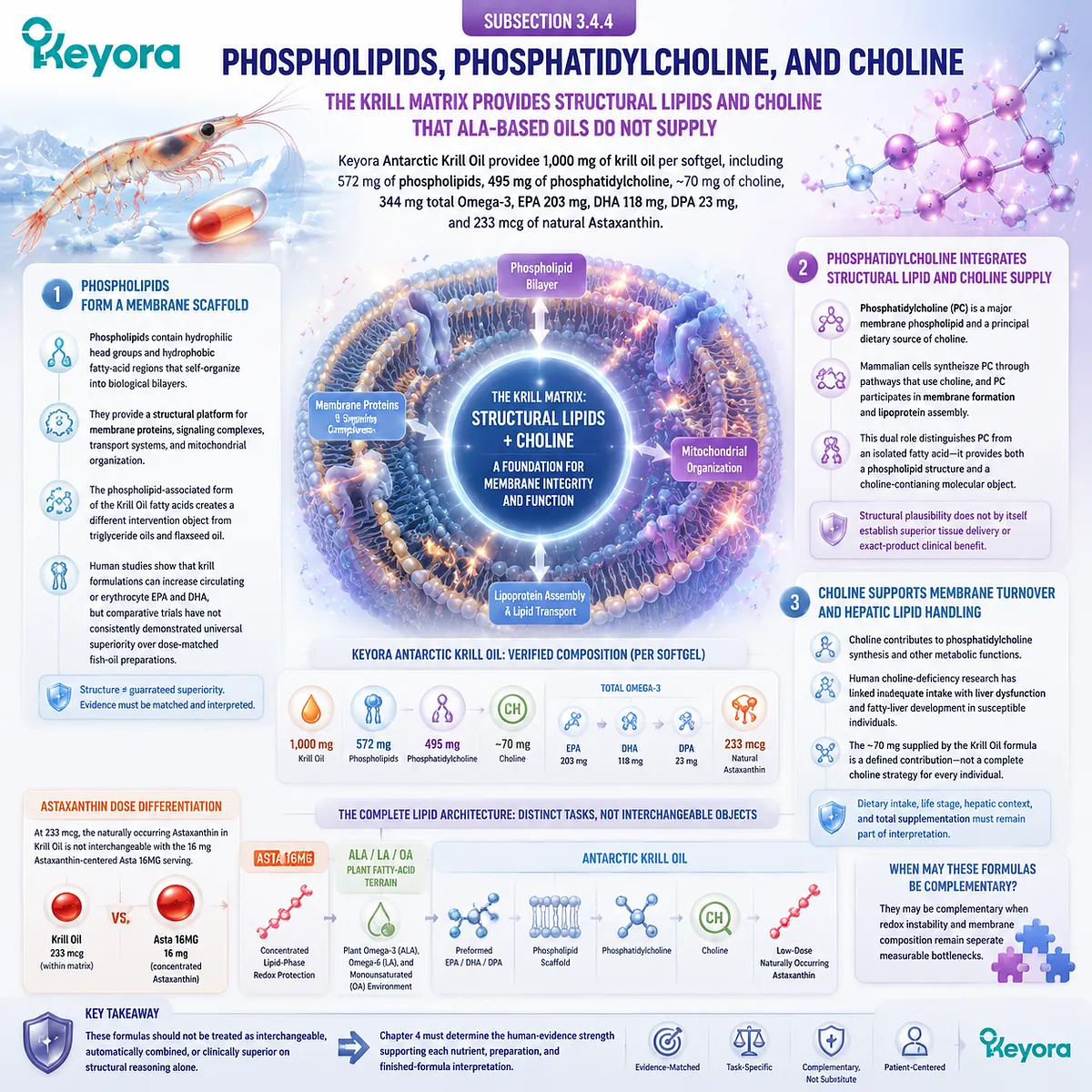 Krill oil supports membrane architecture through EPA DHA DPA, phospholipids, phosphatidylcholine, and choline within Keyora Evidence-Matched Multi-Nutrient Combined Intervention Matrix. Krill oil supports membrane architecture through EPA DHA DPA, phospholipids, phosphatidylcholine, and choline within Keyora Evidence-Matched Multi-Nutrient Combined Intervention Matrix.
