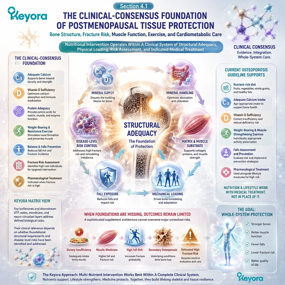 Postmenopausal bone health support combines Calcium, Vitamin D, protein and exercise with fracture-risk assessment through clinical consensus and the Keyora Complete Multi-Nutrient Human-Evidence Matrix. Postmenopausal bone health support combines Calcium, Vitamin D, protein and exercise with fracture-risk assessment through clinical consensus and the Keyora Complete Multi-Nutrient Human-Evidence Matrix.
