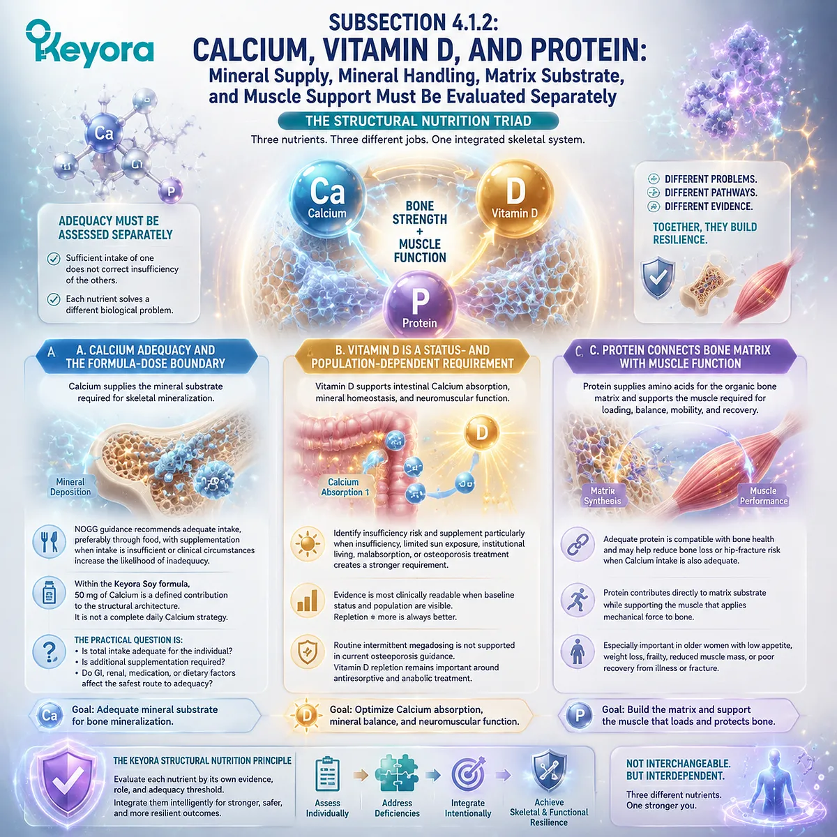 Postmenopausal bone health support integrates Calcium, Vitamin D and protein through mineral supply, Calcium absorption and muscle matrix pathways in the Keyora Complete Multi-Nutrient Human-Evidence Matrix. Postmenopausal bone health support integrates Calcium, Vitamin D and protein through mineral supply, Calcium absorption and muscle matrix pathways in the Keyora Complete Multi-Nutrient Human-Evidence Matrix.