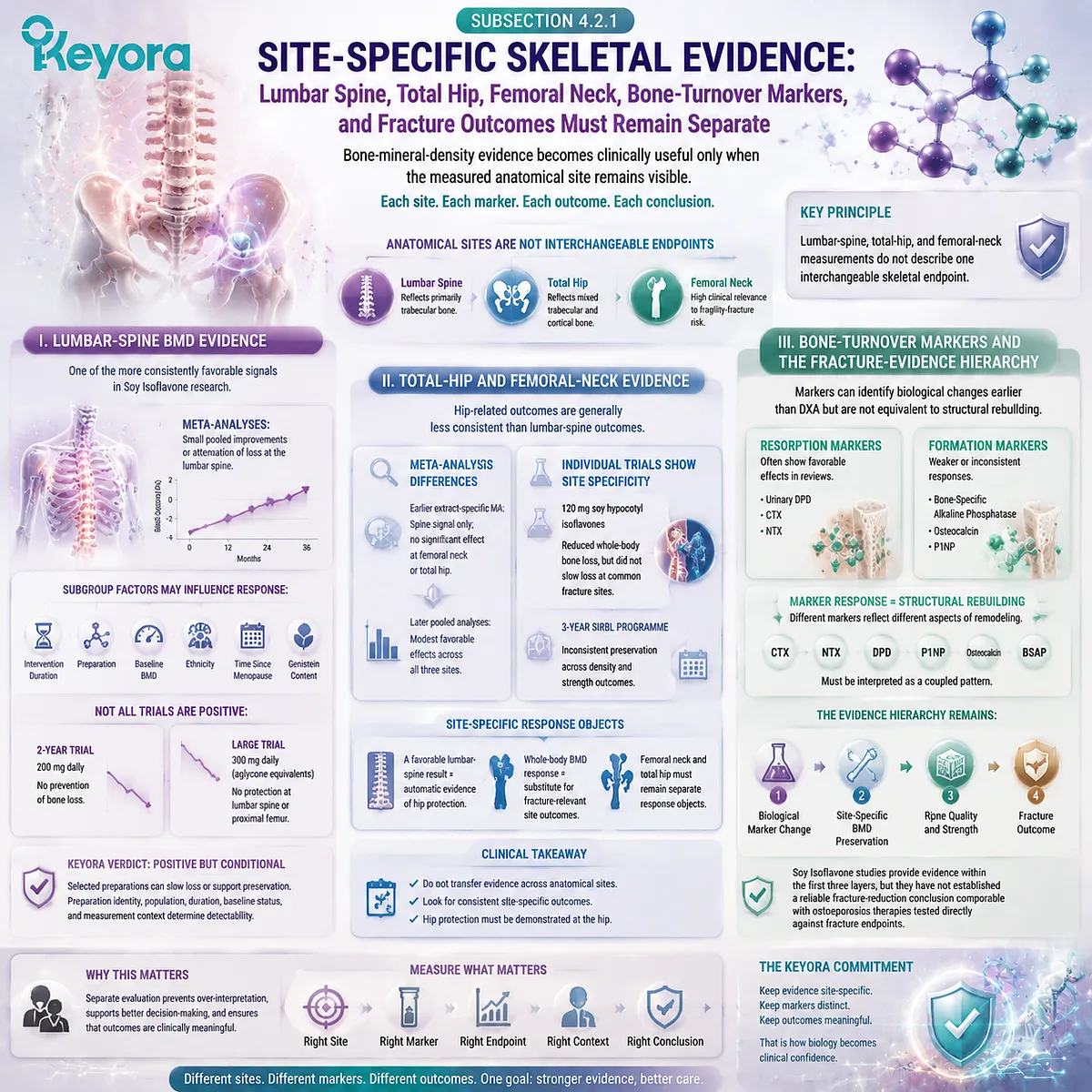 Soy isoflavones influence postmenopausal bone health through ER-β signaling, site-specific BMD and remodeling markers within the Keyora Complete Multi-Nutrient Human-Evidence Matrix. Soy isoflavones influence postmenopausal bone health through ER-β signaling, site-specific BMD and remodeling markers within the Keyora Complete Multi-Nutrient Human-Evidence Matrix.